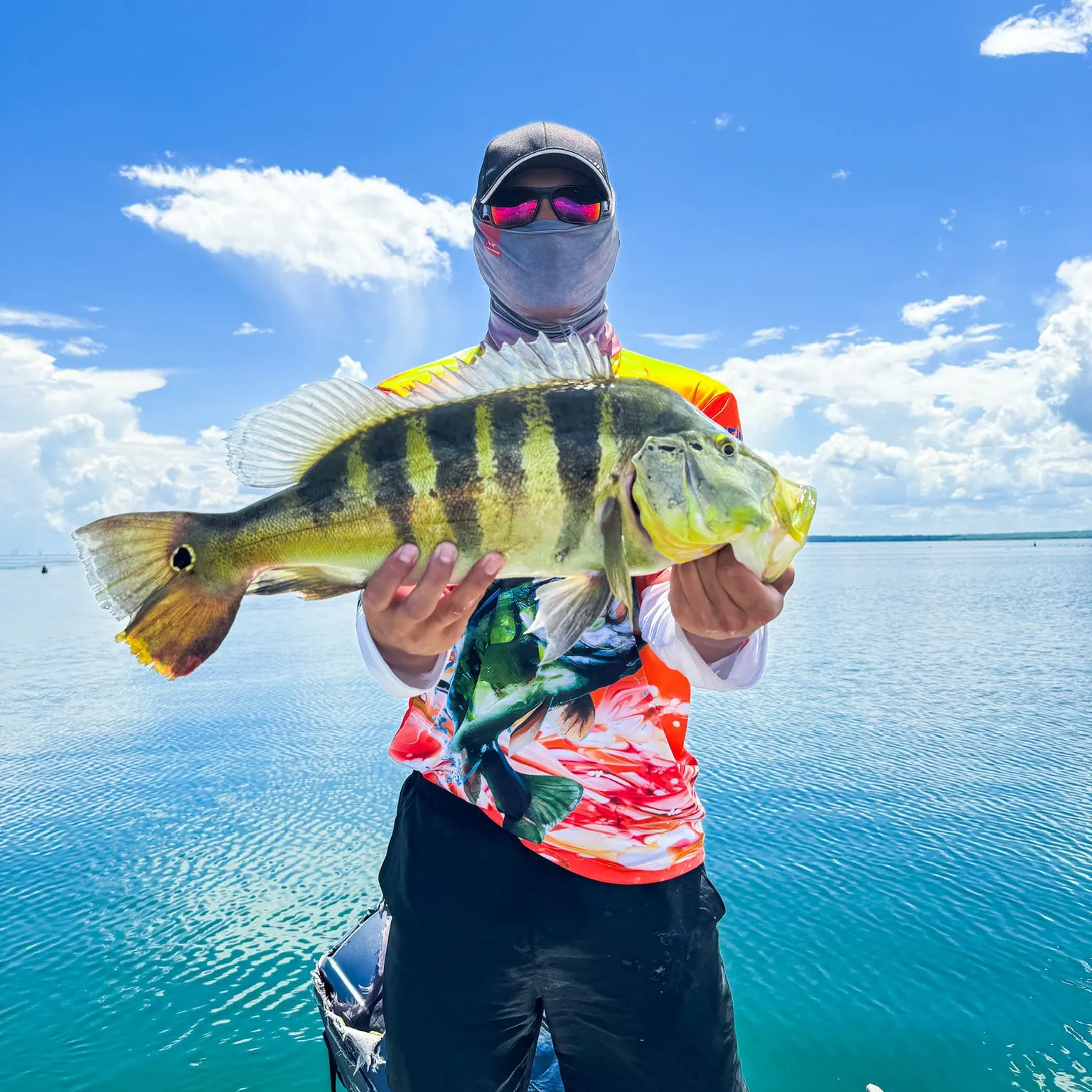 The most recent Blue peacock bass catches on Fishbrain