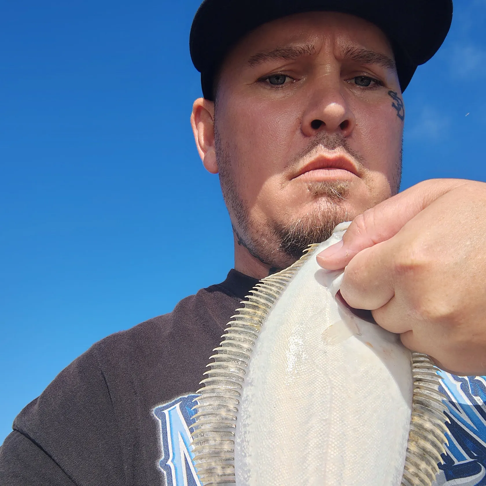 The most recent California halibut catches on Fishbrain