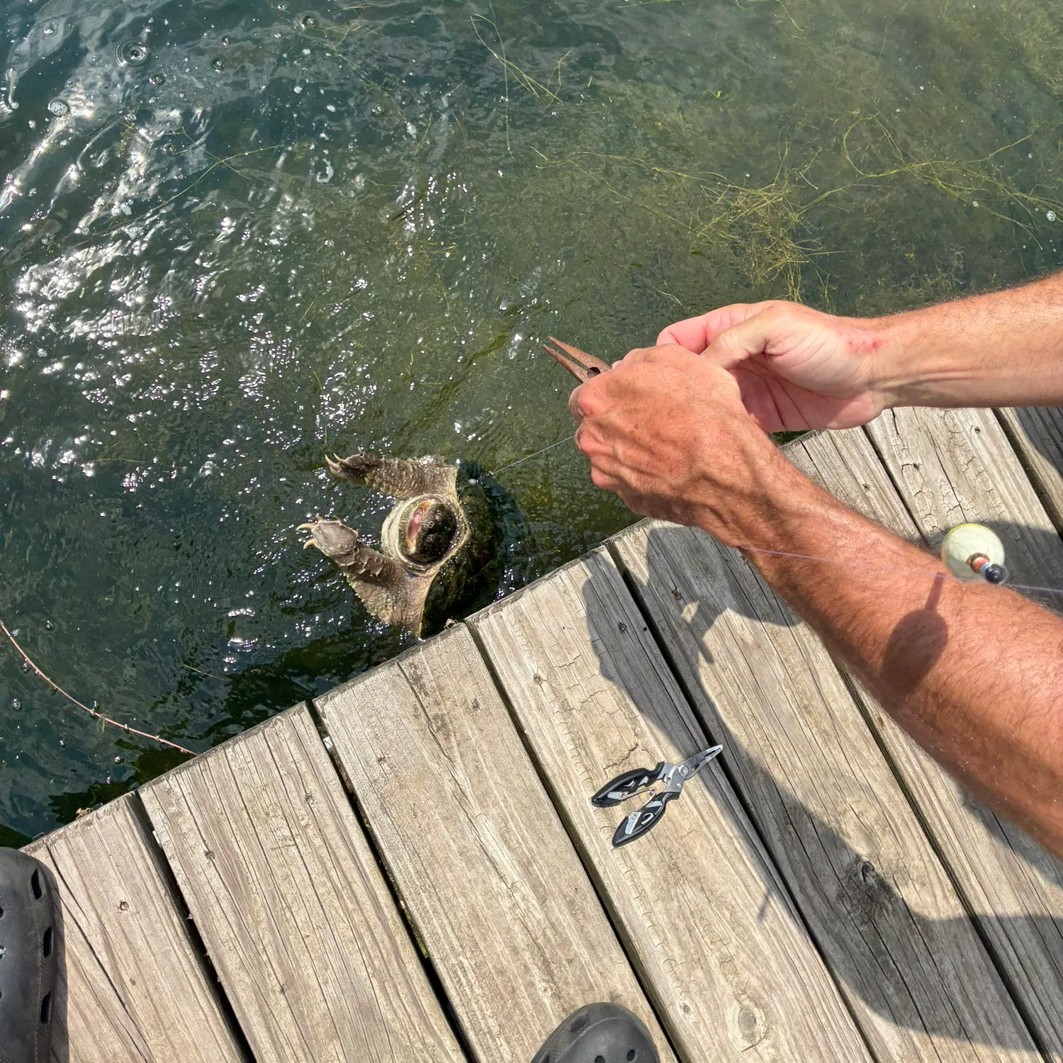 catch