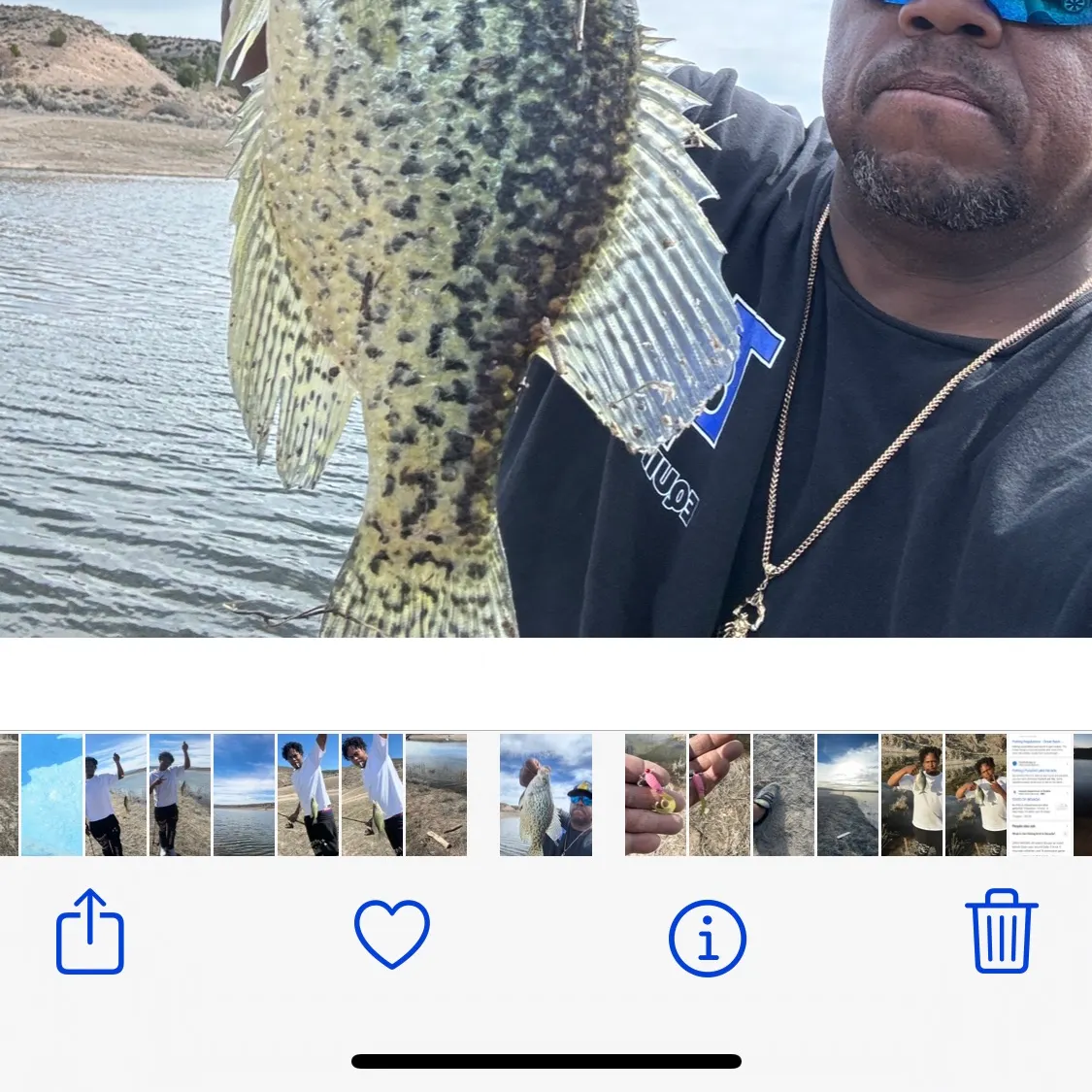 recently logged catches