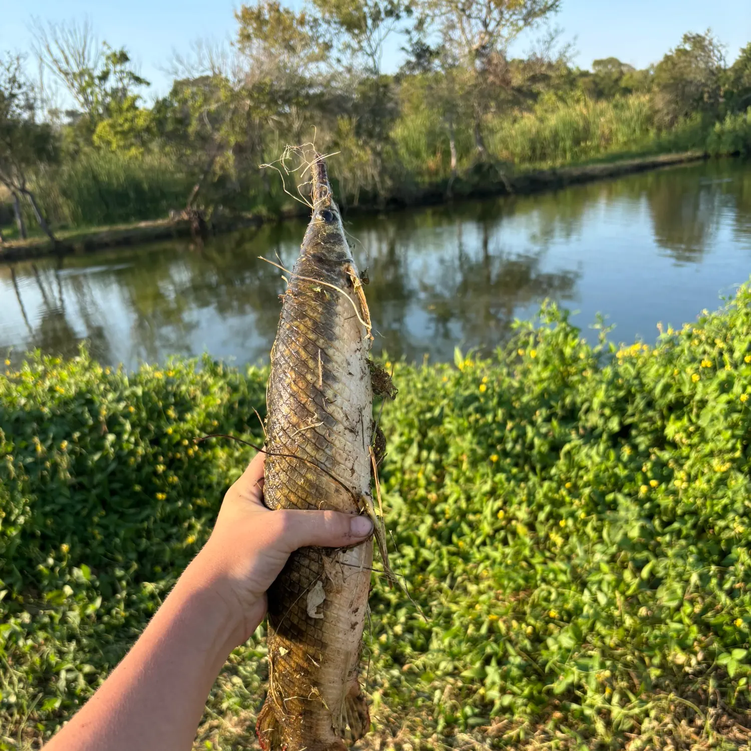 catch