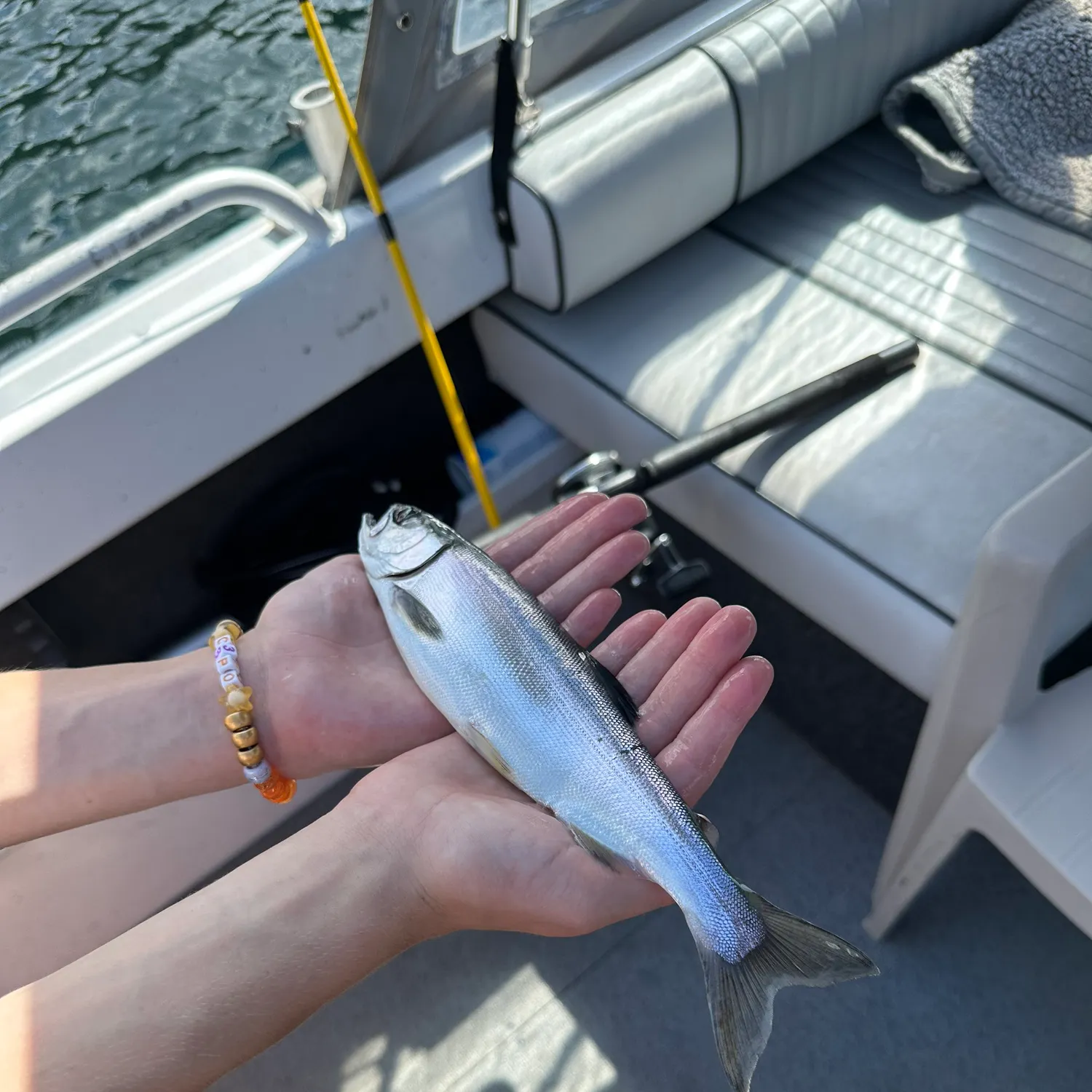 Kokanee salmon caught on Fishbrain