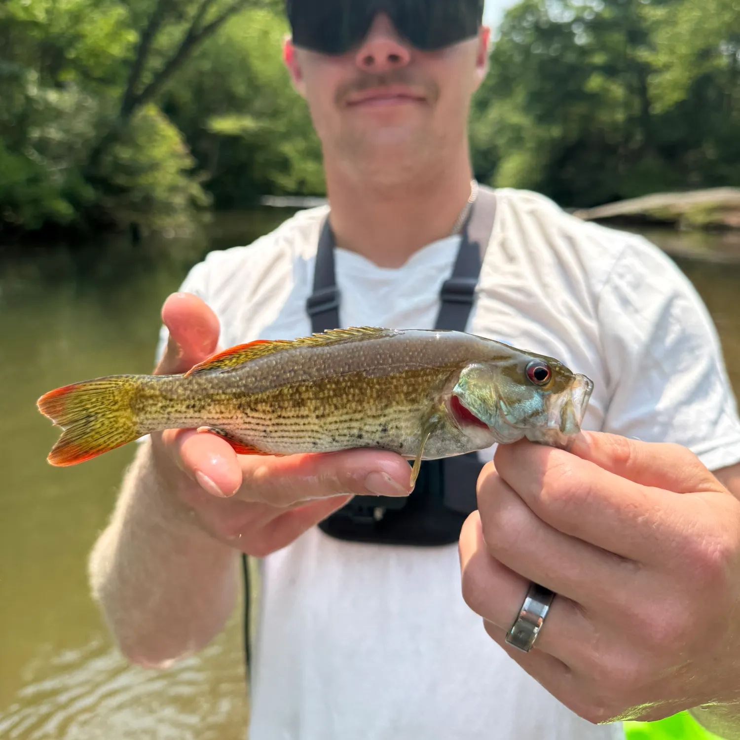 most liked catch image