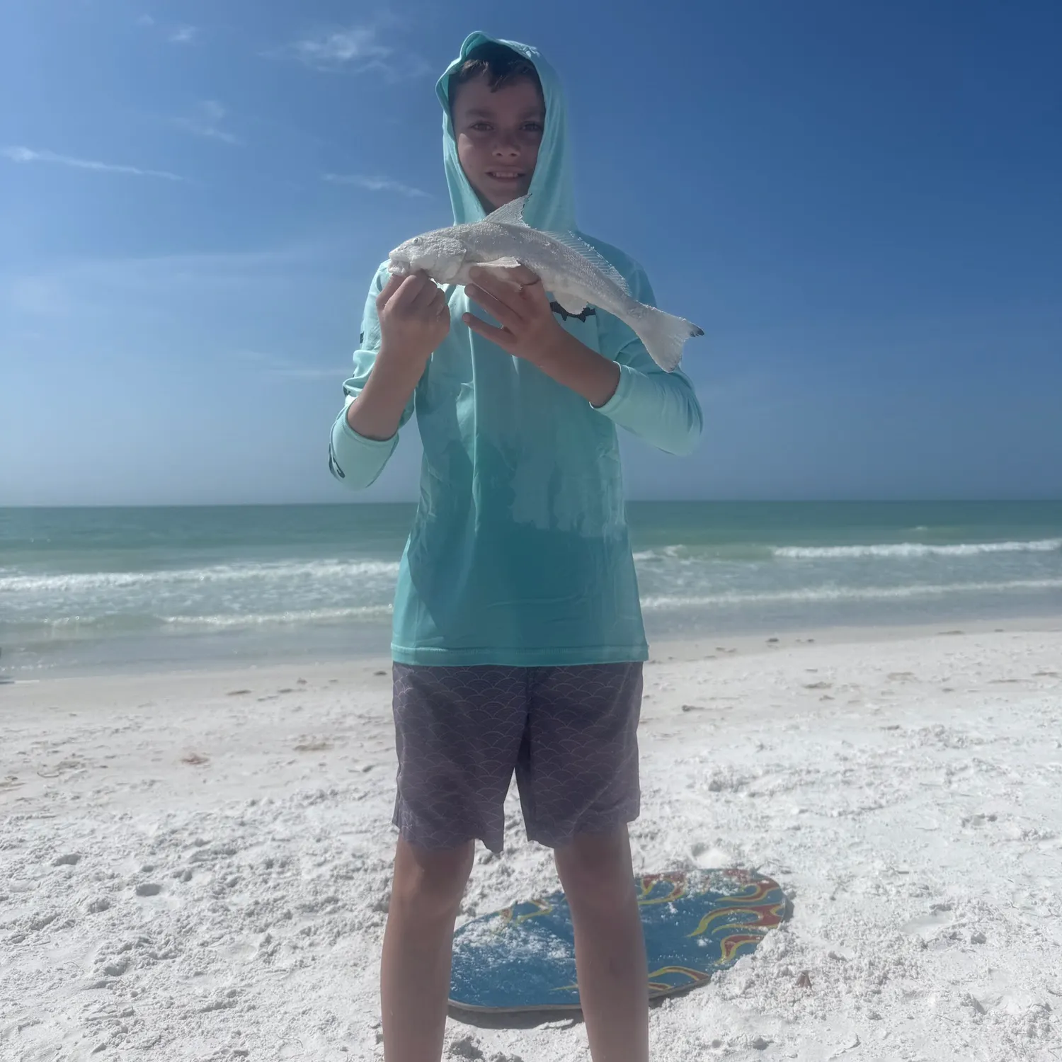 The most recent Southern kingcroaker catches on Fishbrain