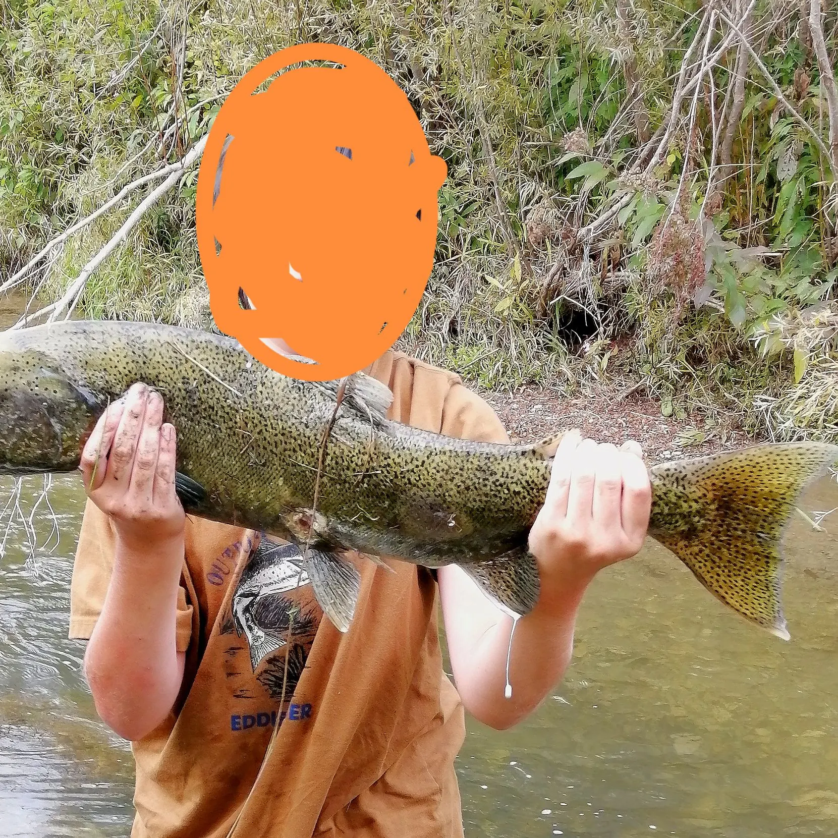 Chinook salmon caught on Fishbrain