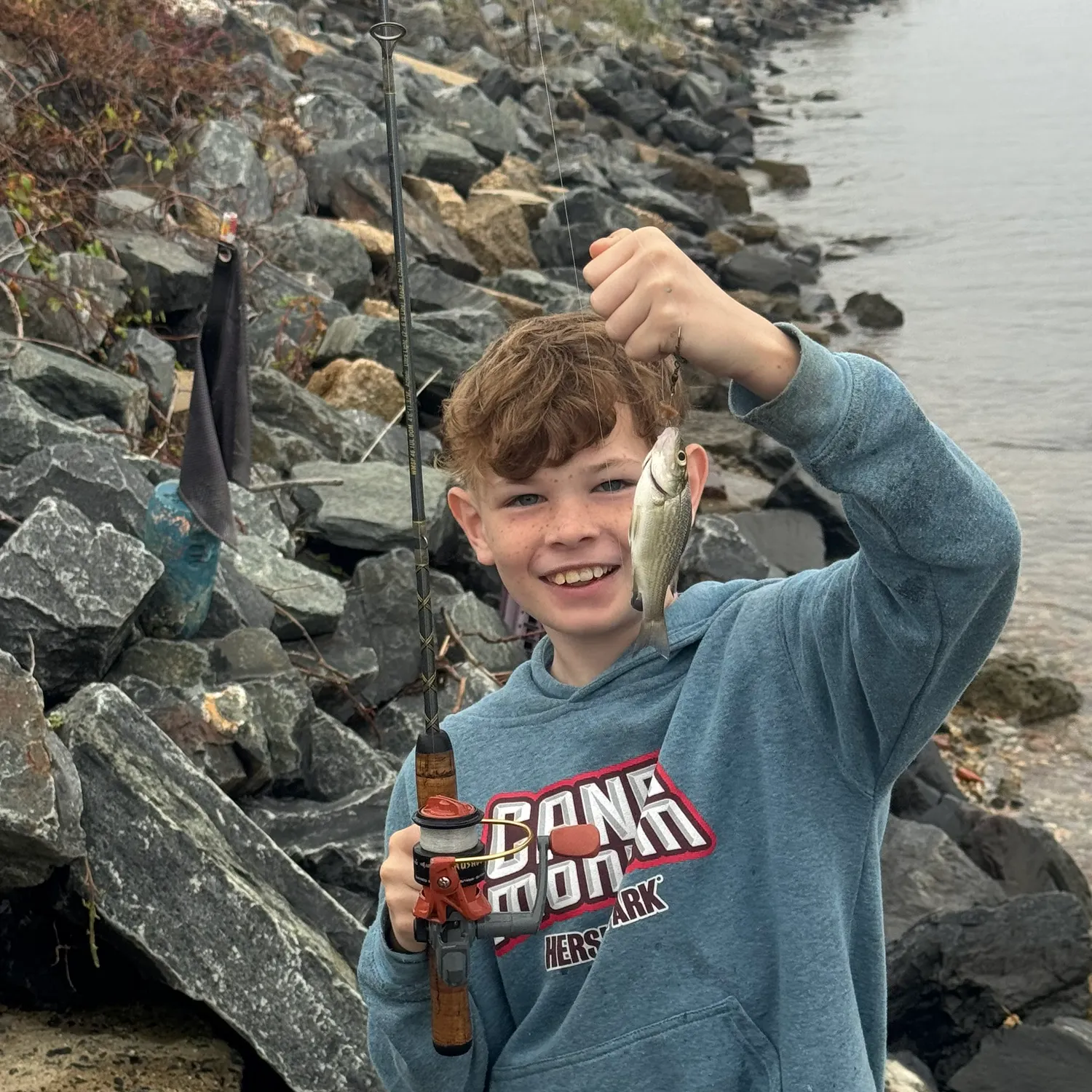 White perch caught on Fishbrain