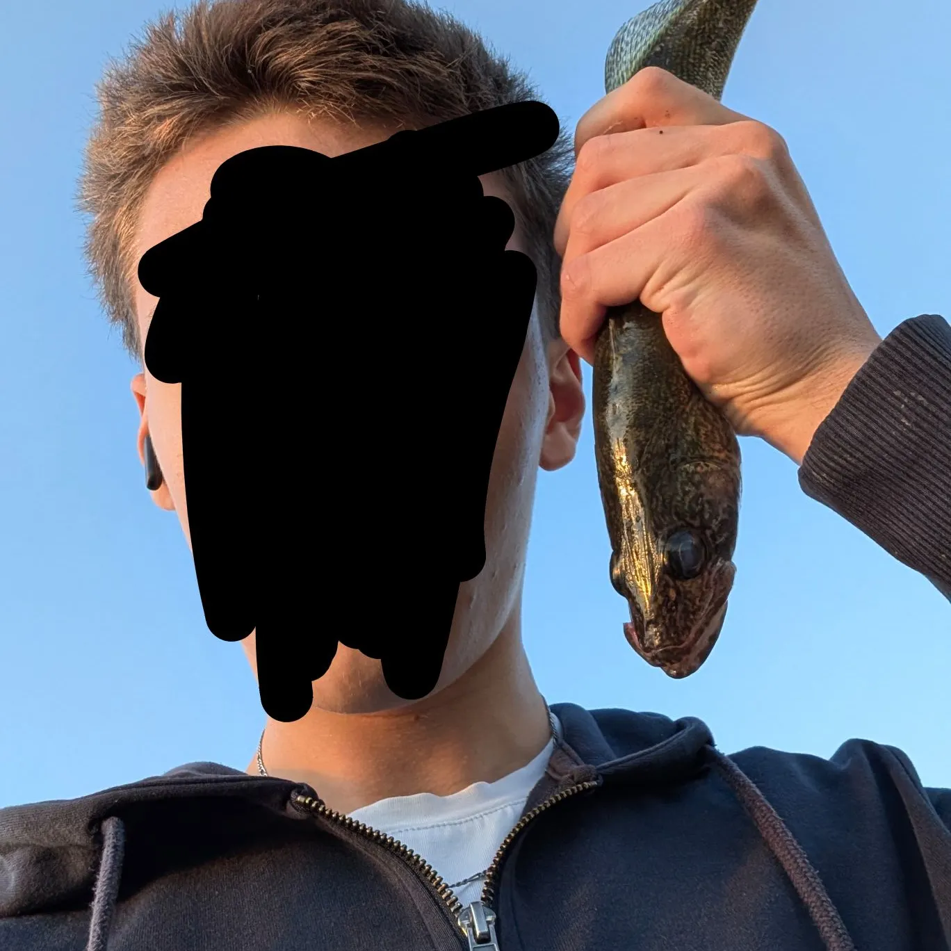 Walleye caught on Fishbrain