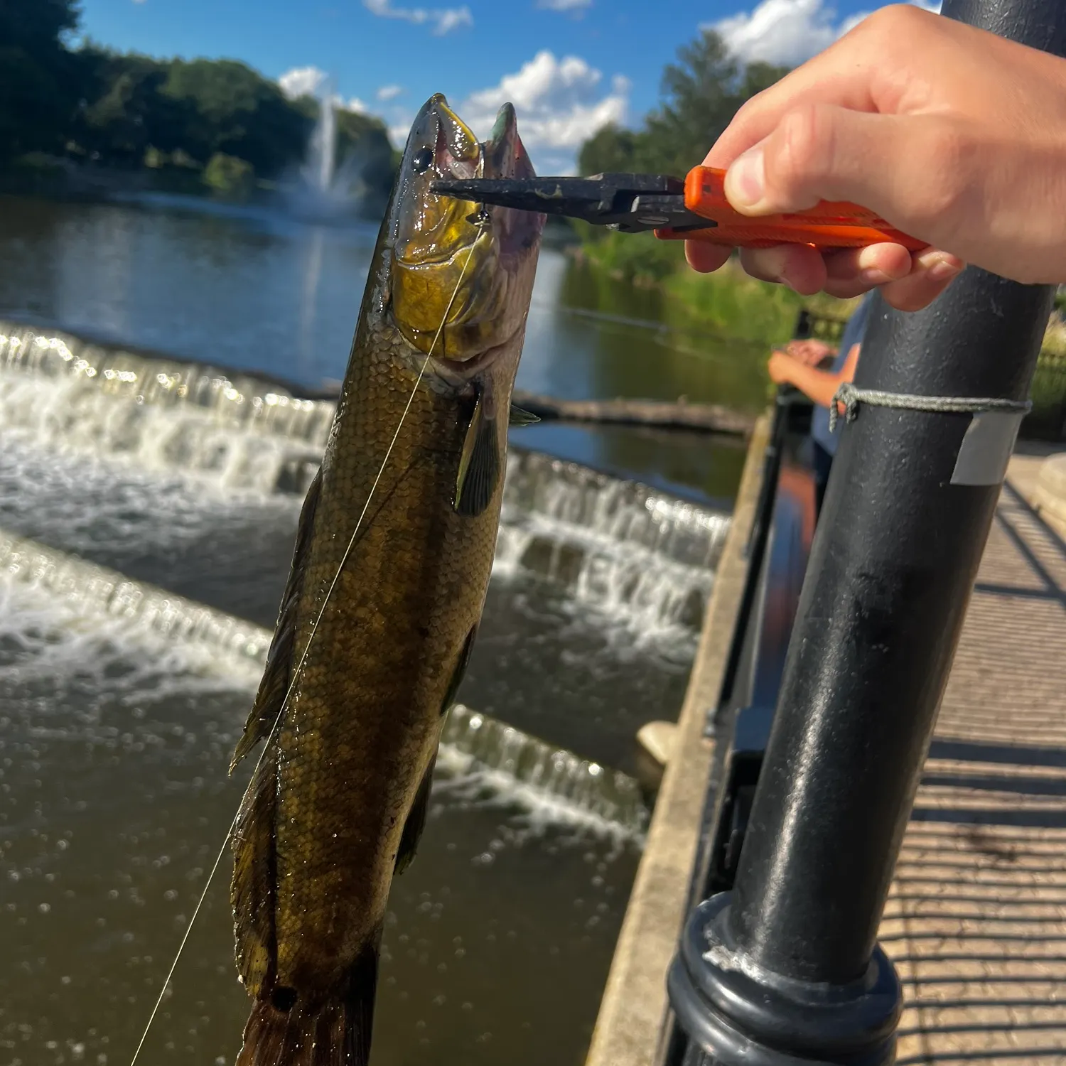 catch