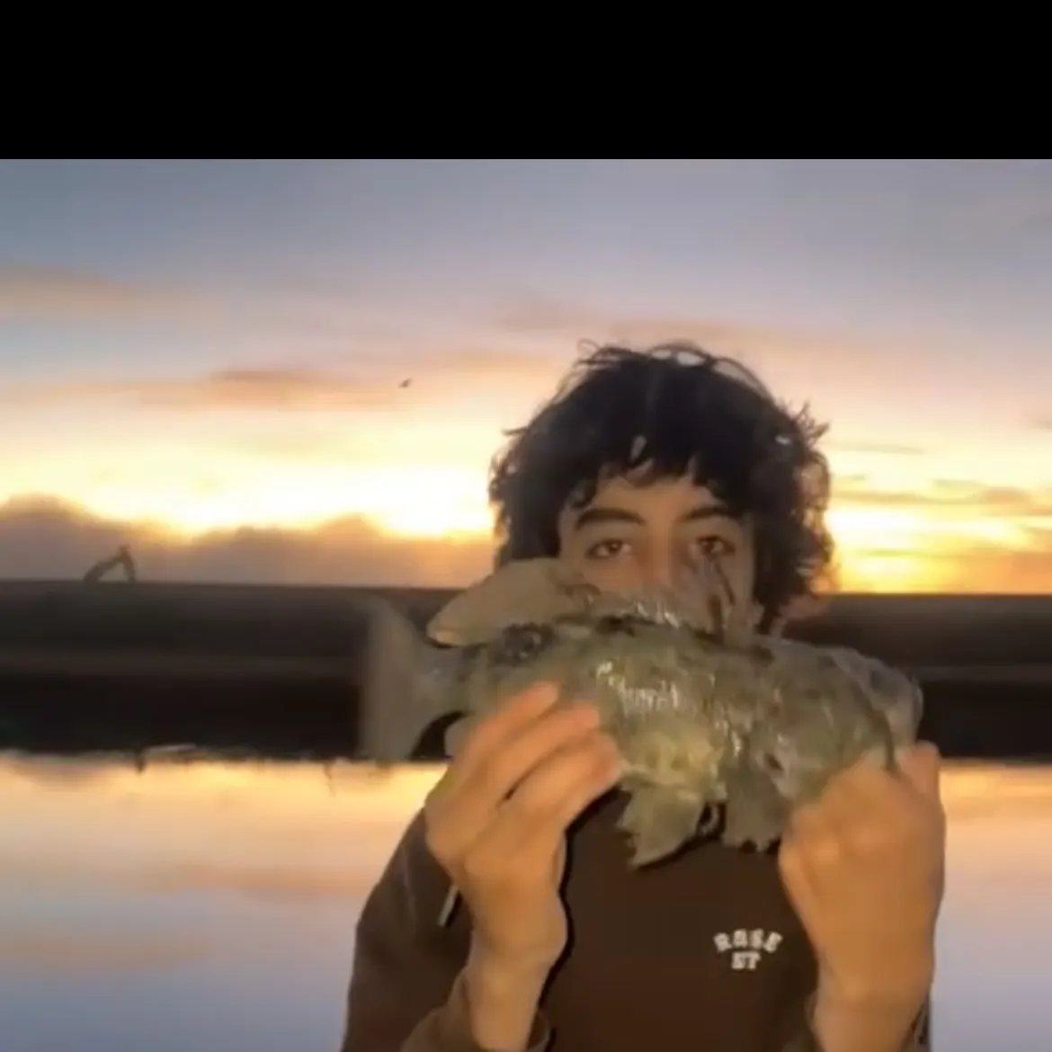 The most recent Spotted sand bass catches on Fishbrain