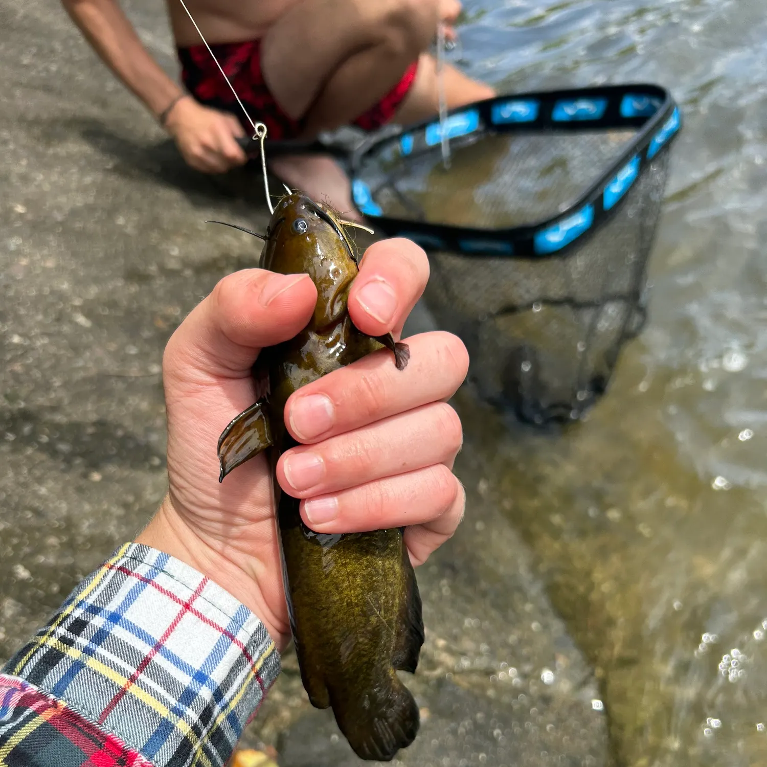 catch