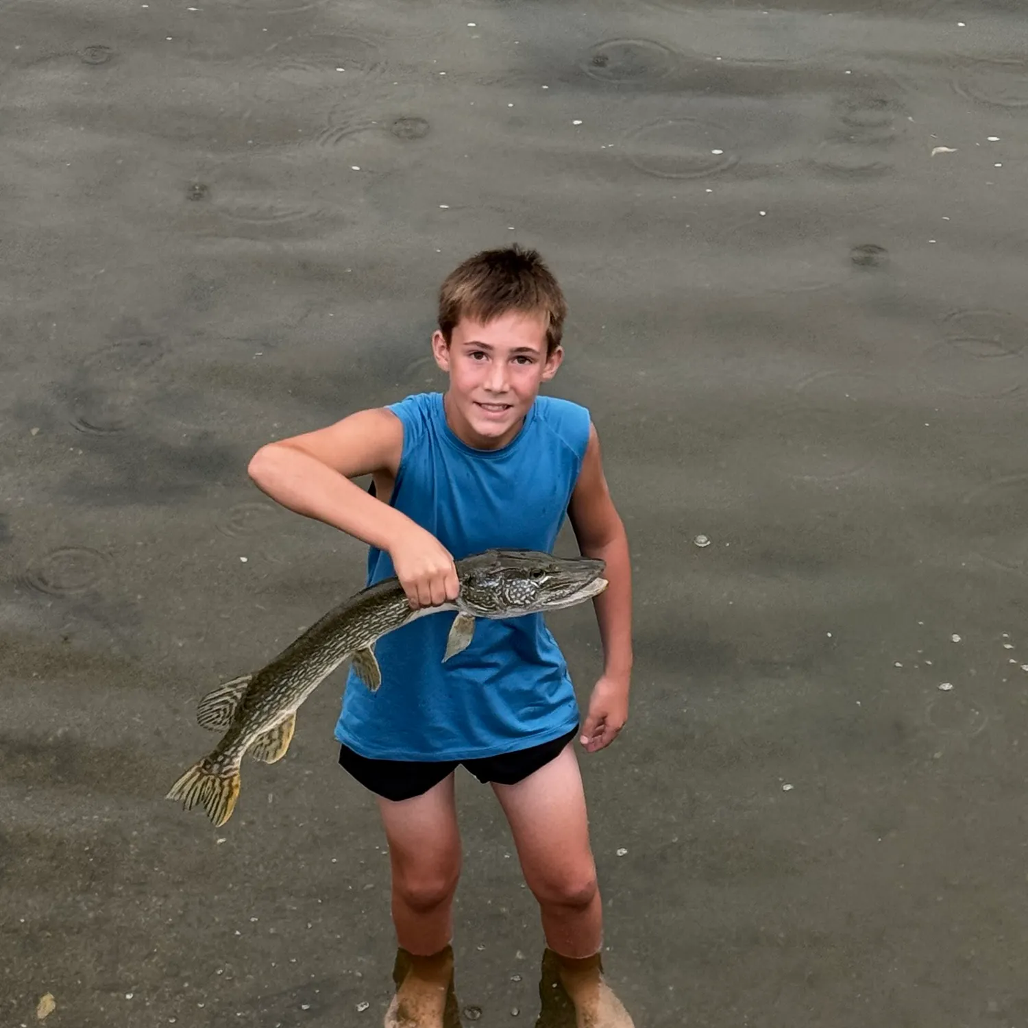 Northern pike caught on Fishbrain