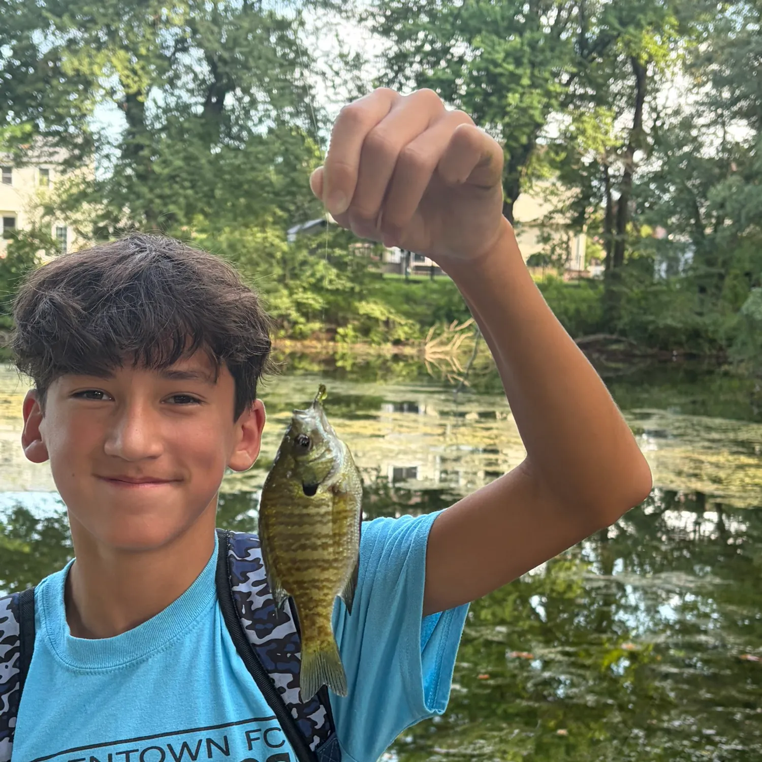 Bluegill caught on Fishbrain
