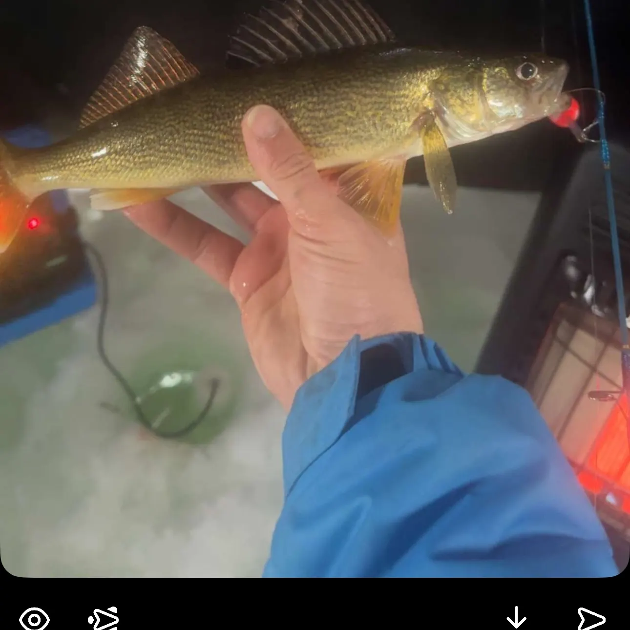 recently logged catches