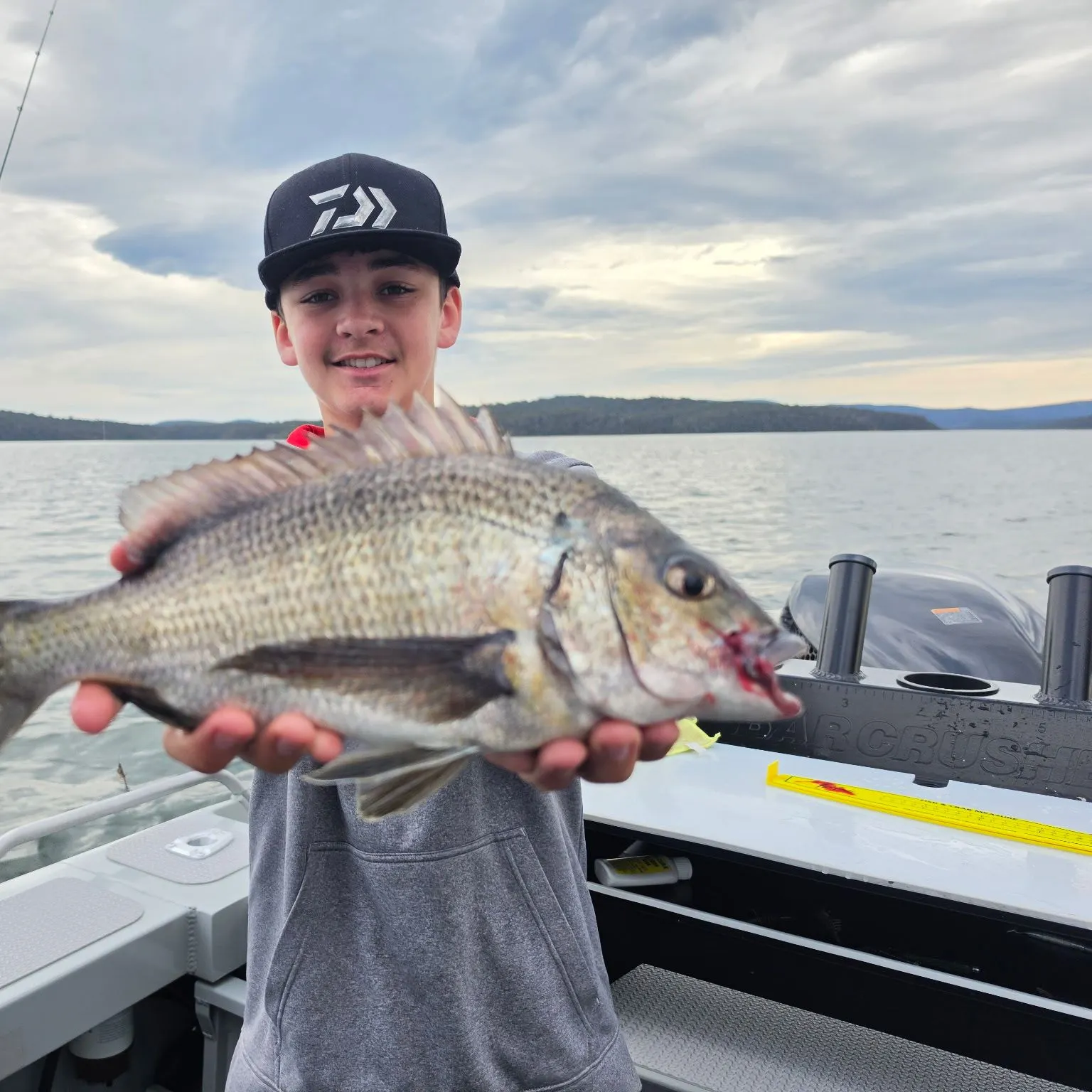 Southern black bream caught on Fishbrain