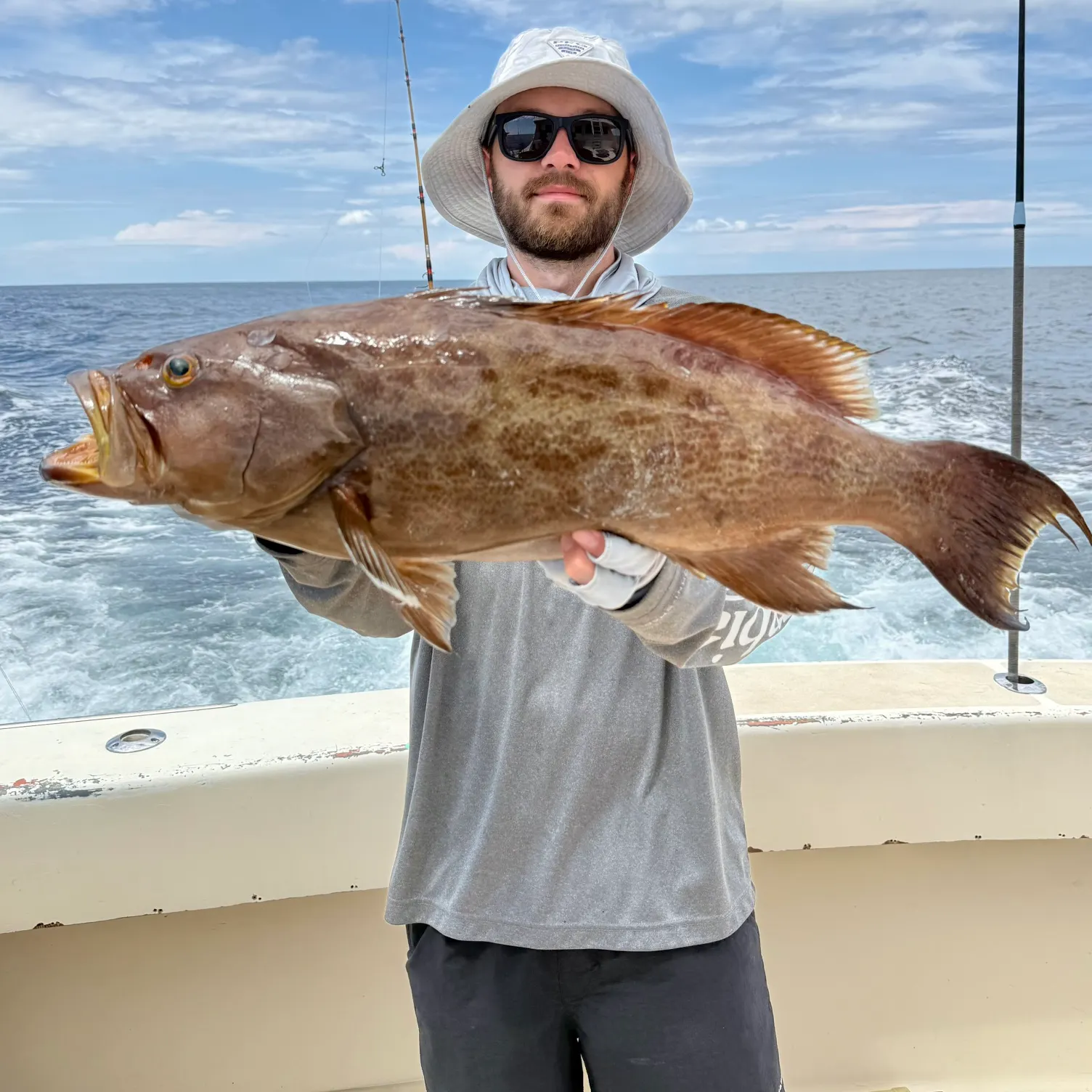 The most recent Scamp grouper catches on Fishbrain