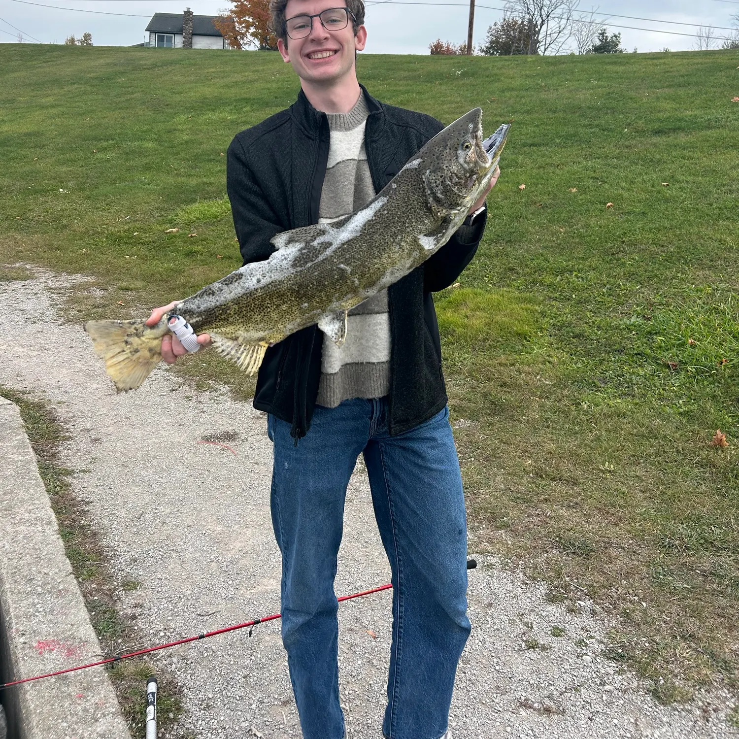 Chinook salmon caught on Fishbrain