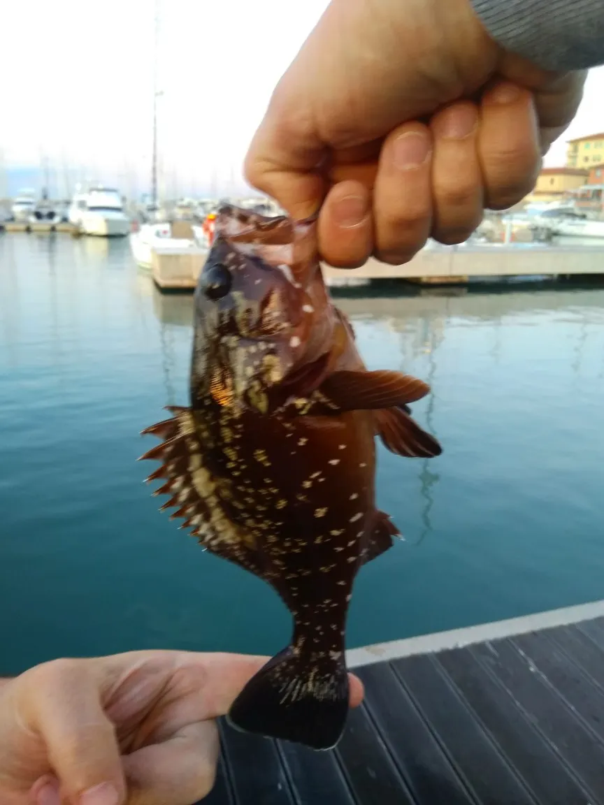 Post image from manuelvitiello