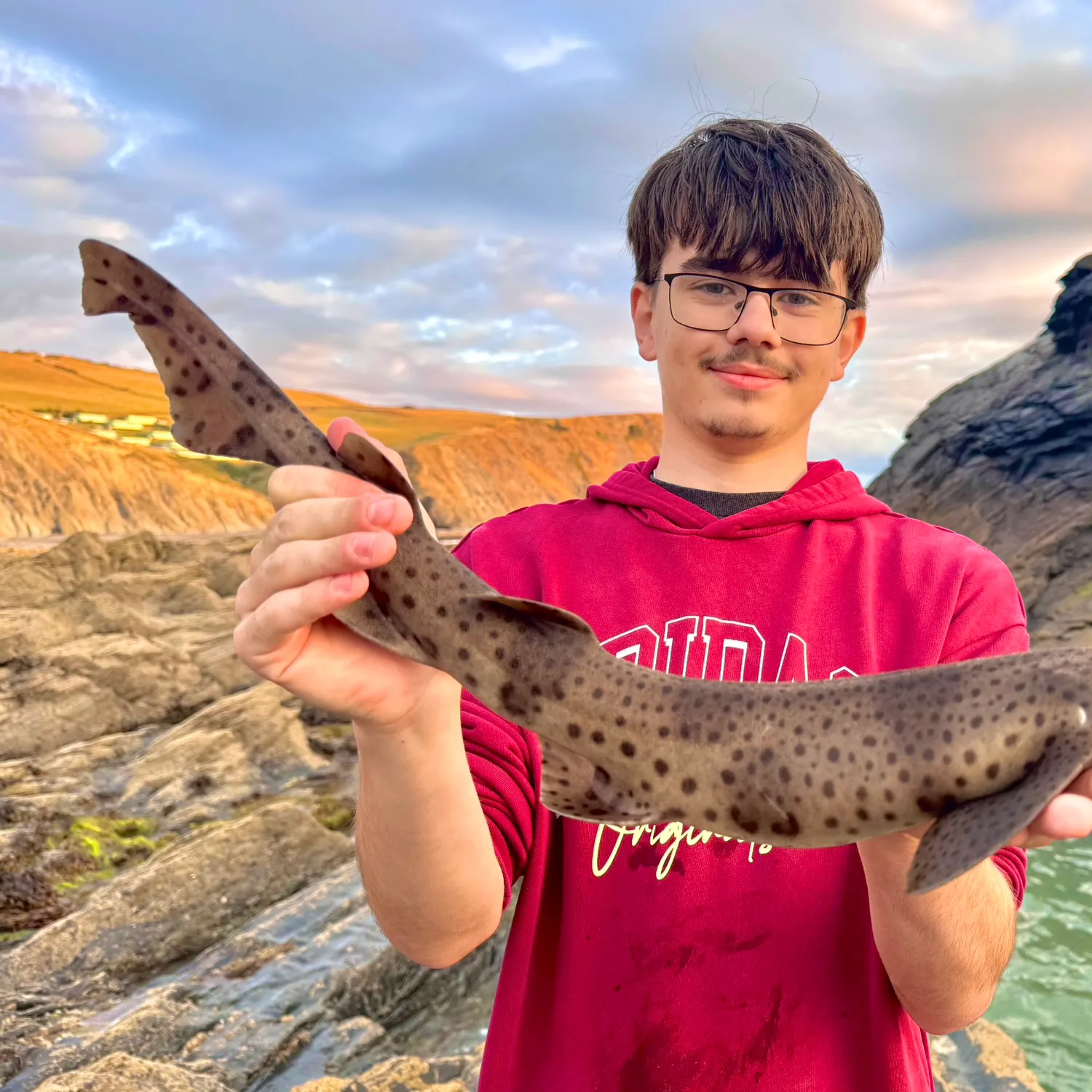 The most recent Nursehound catches on Fishbrain