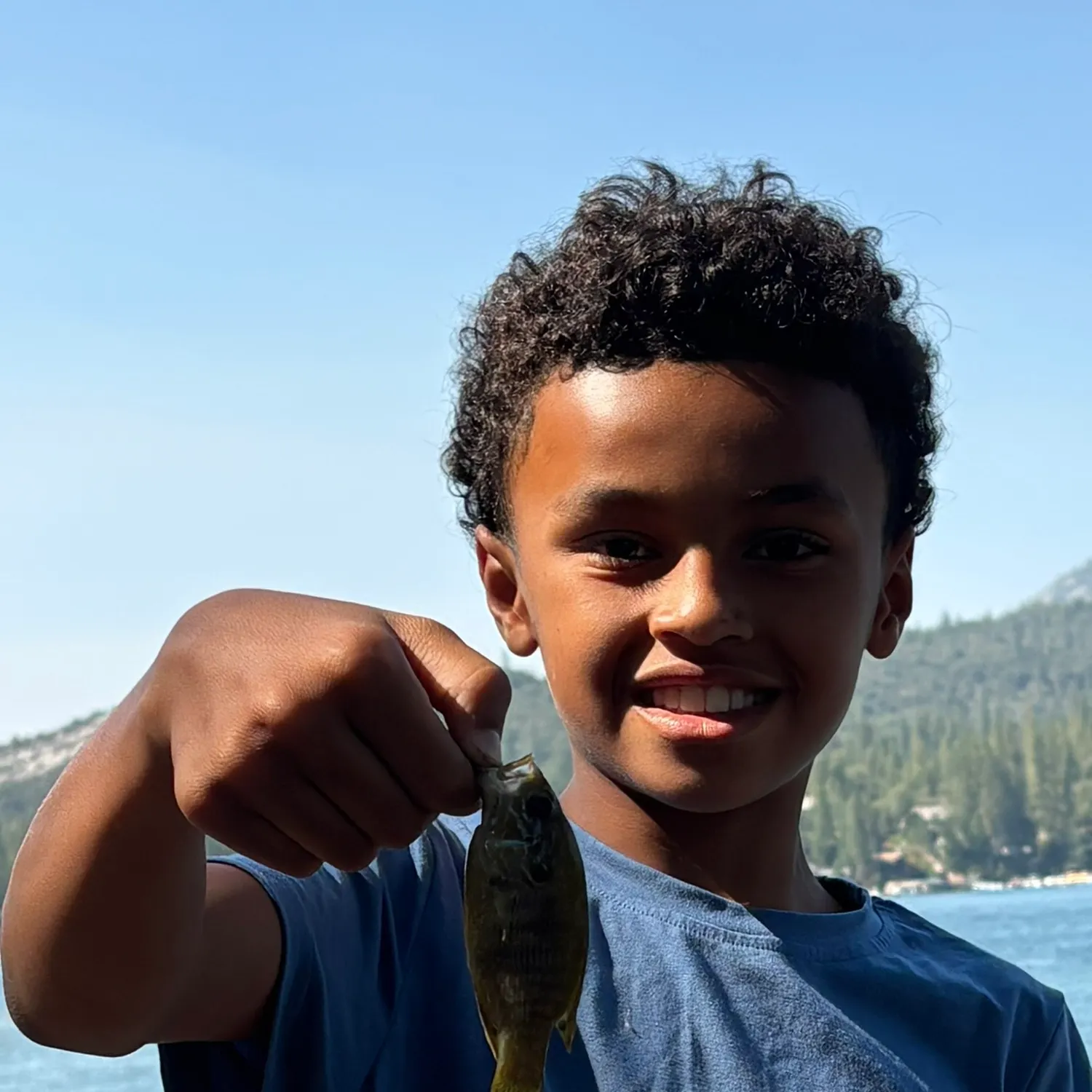 Green sunfish caught on Fishbrain
