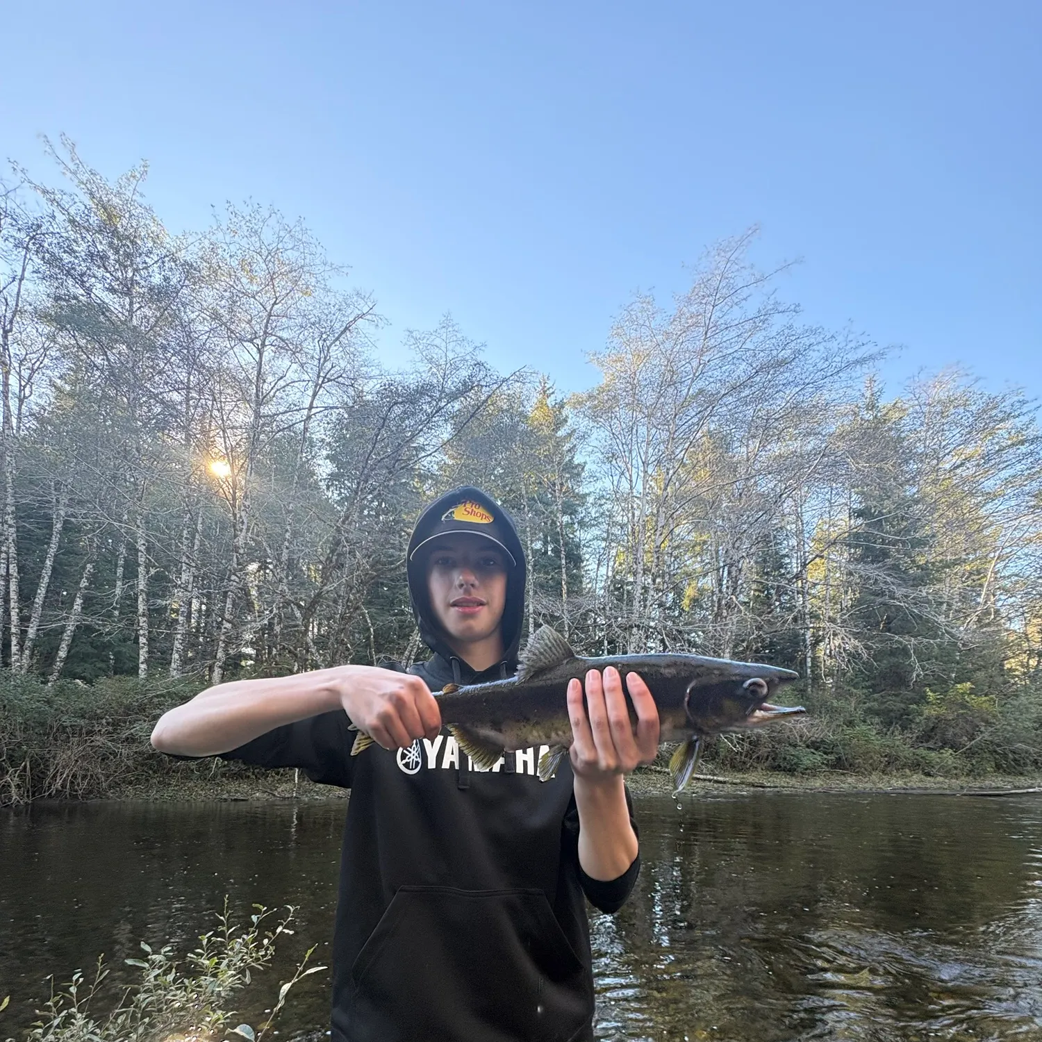 Pink salmon caught on Fishbrain