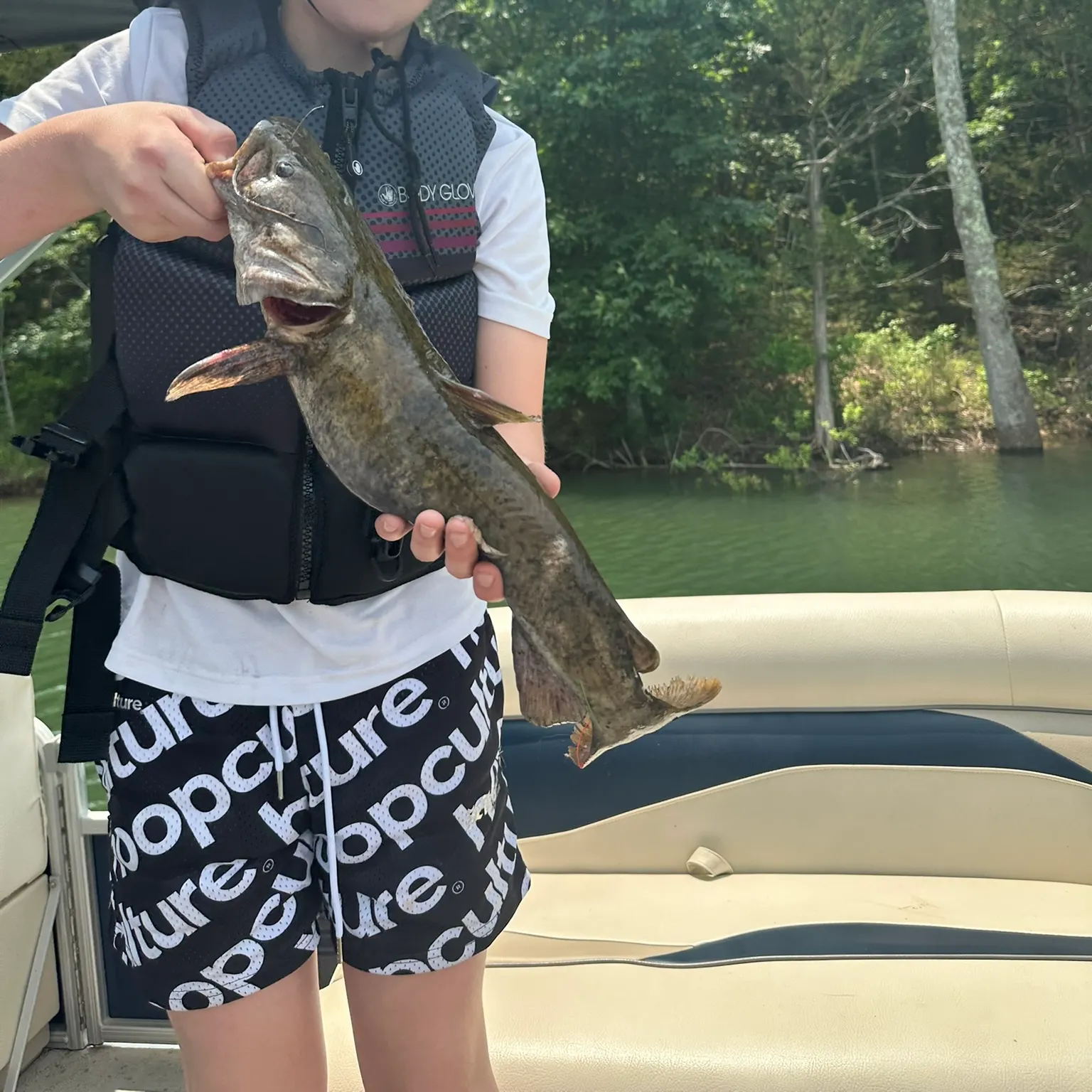 The most recent Flathead catfish catches on Fishbrain