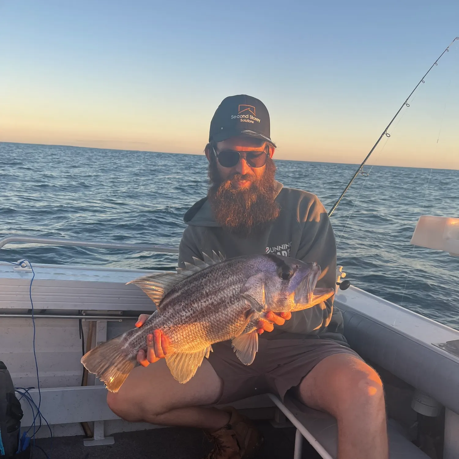 The most recent Westralian jewfish catches on Fishbrain