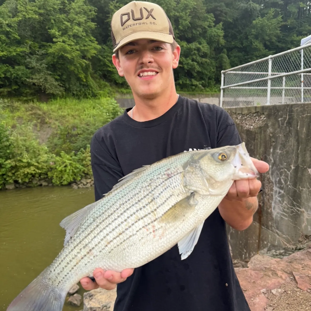 The most recent Wiper catches on Fishbrain