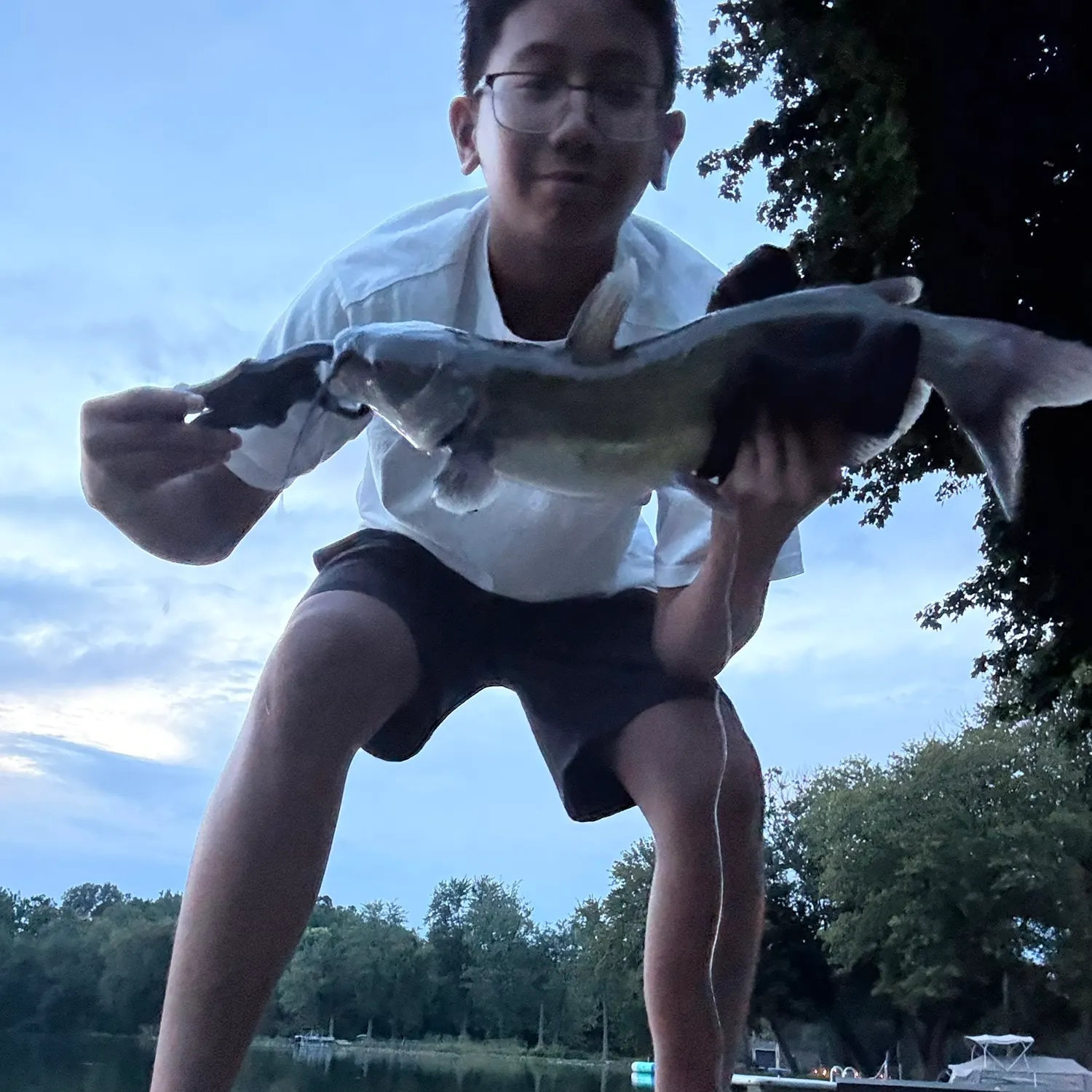 Channel catfish caught on Fishbrain
