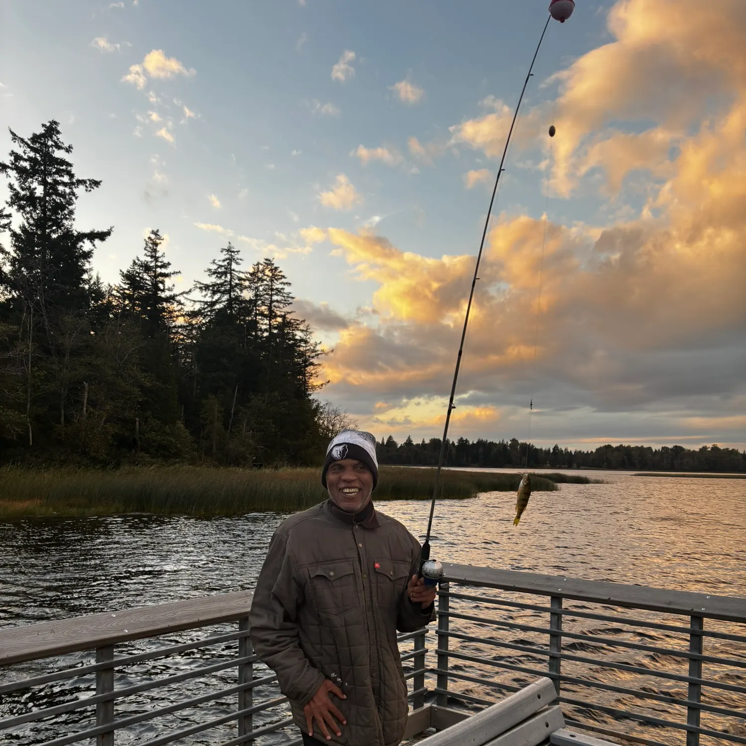 Yellow perch caught on Fishbrain