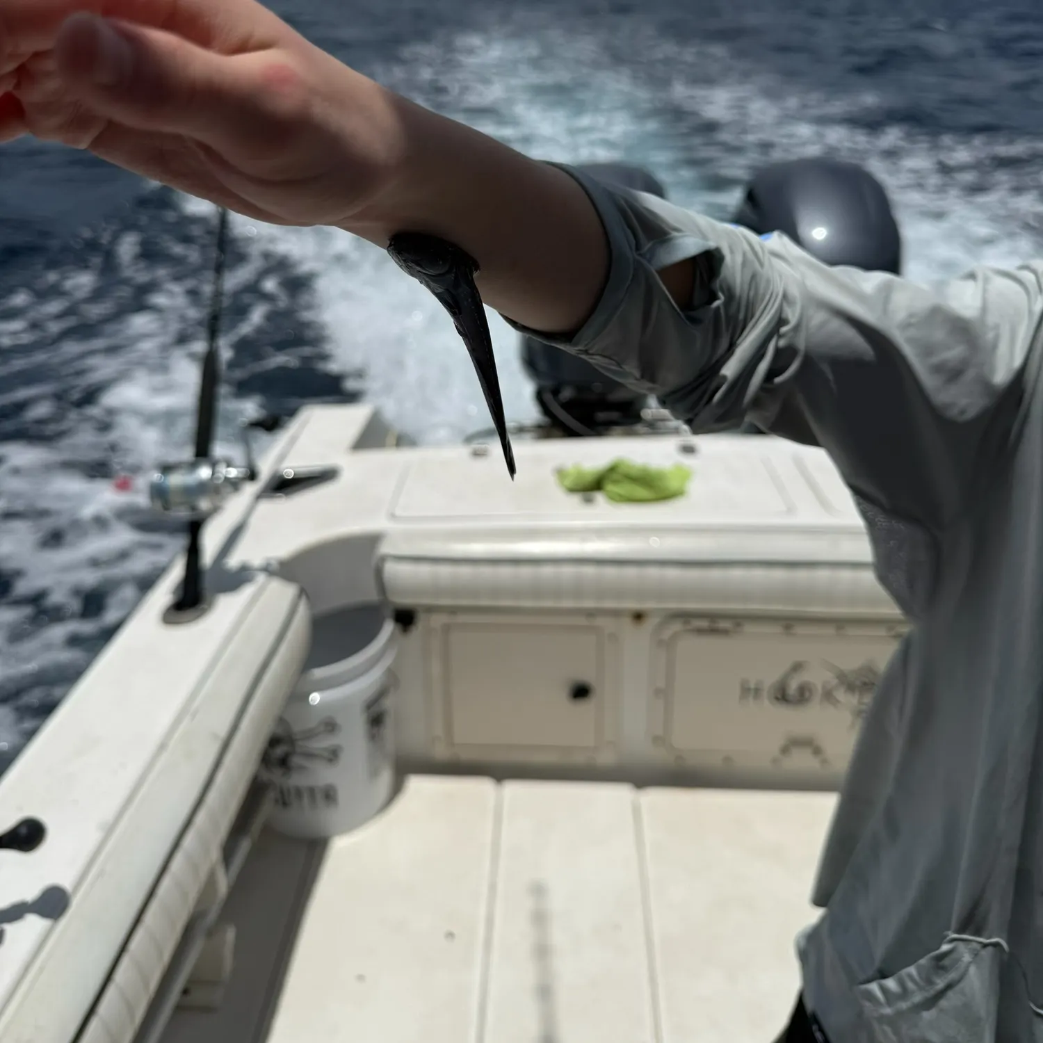 The most recent Common remora catches on Fishbrain