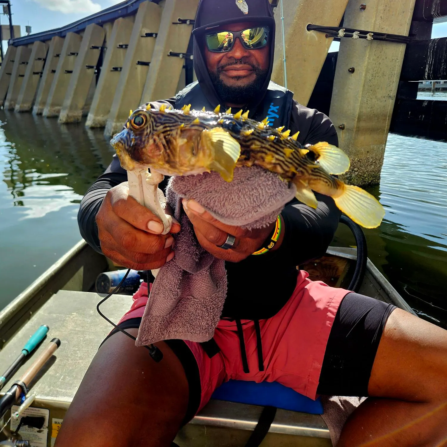 The most recent Striped burrfish catches on Fishbrain
