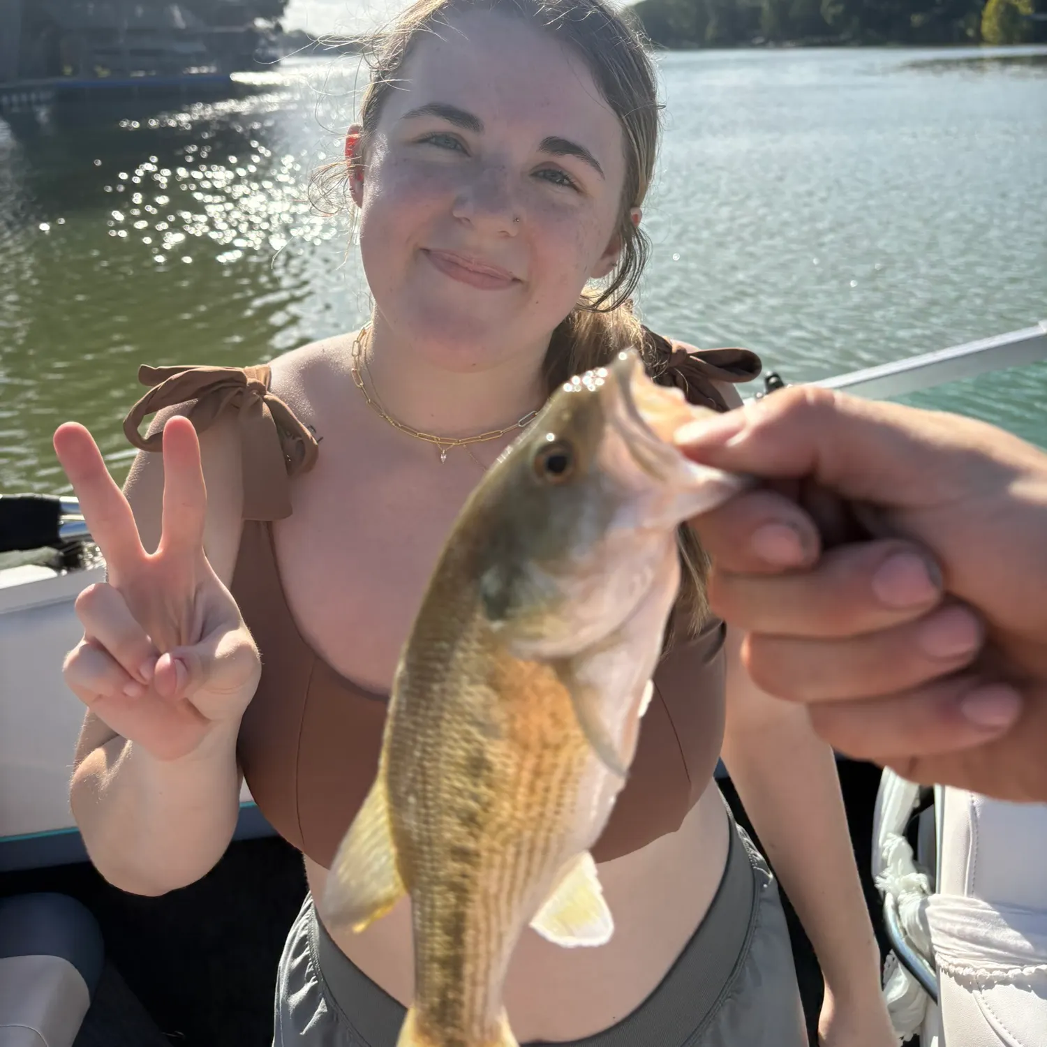 The most recent Guadalupe bass catches on Fishbrain