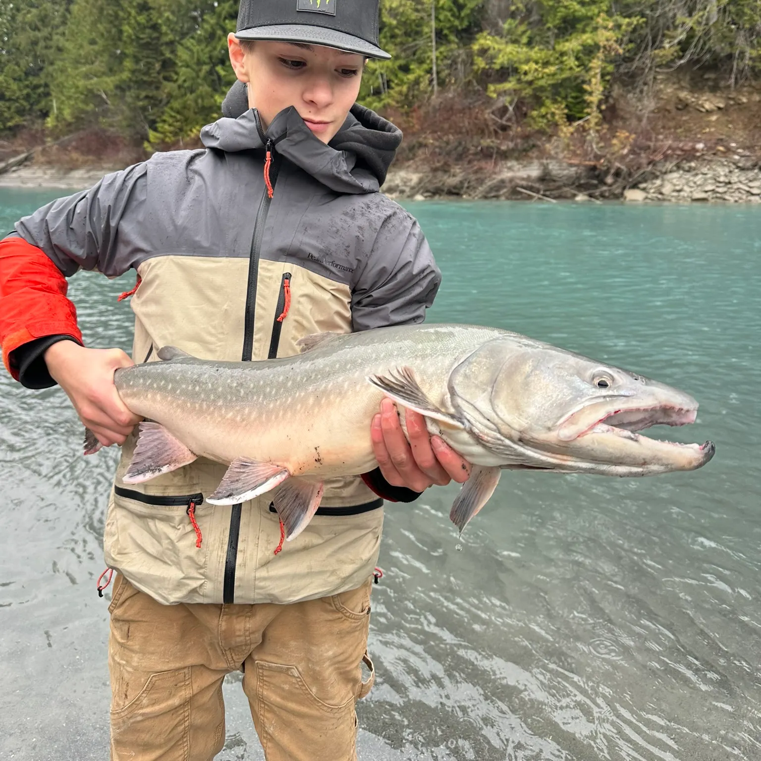 The most recent Bull trout catches on Fishbrain