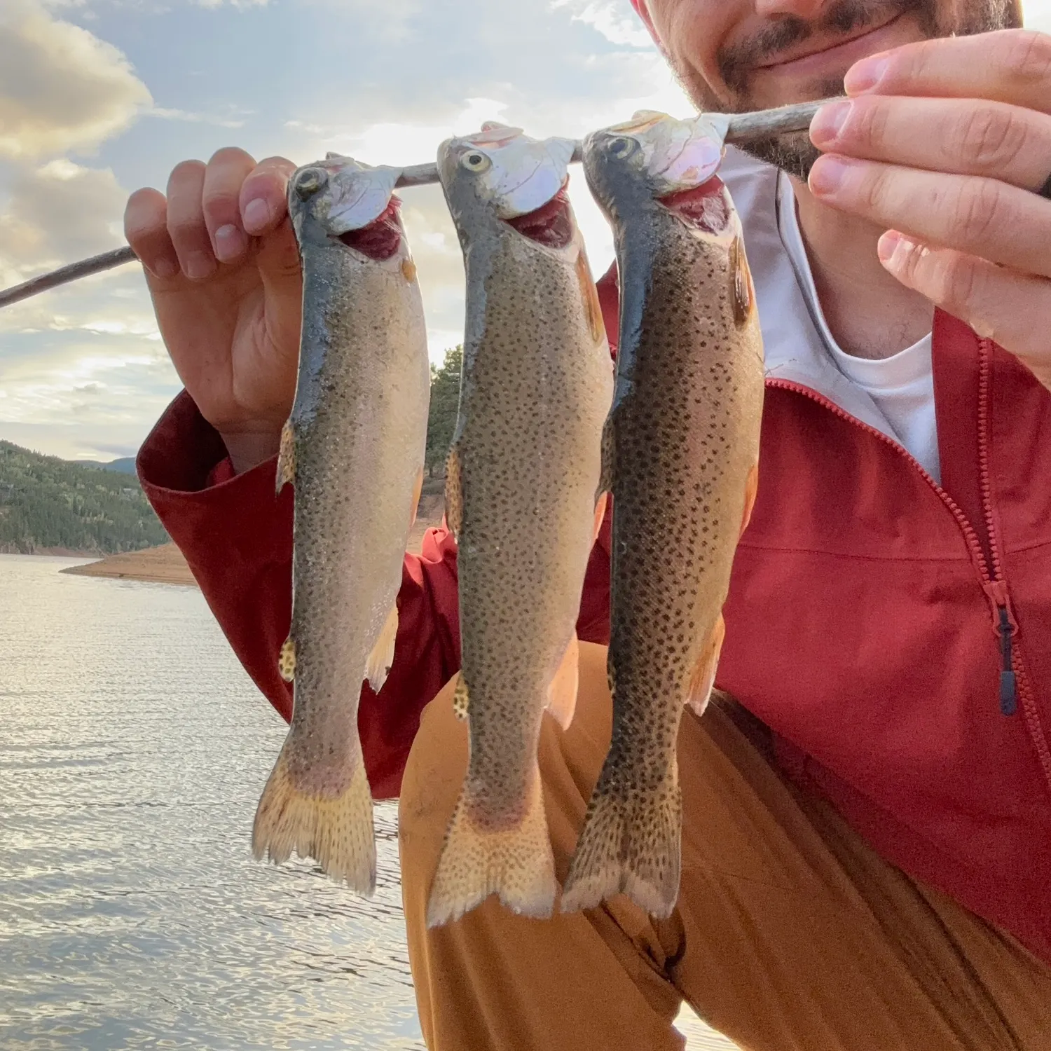 Rainbow trout caught on Fishbrain