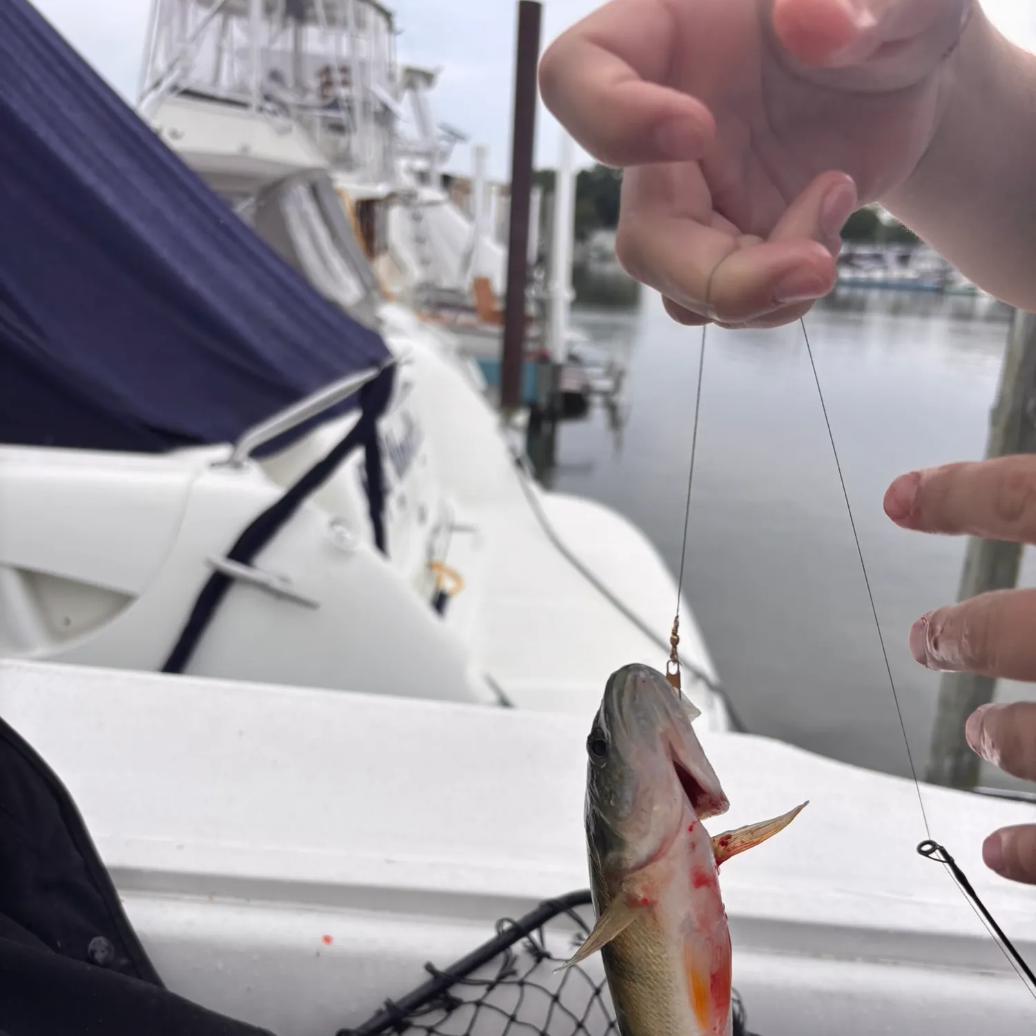 catch