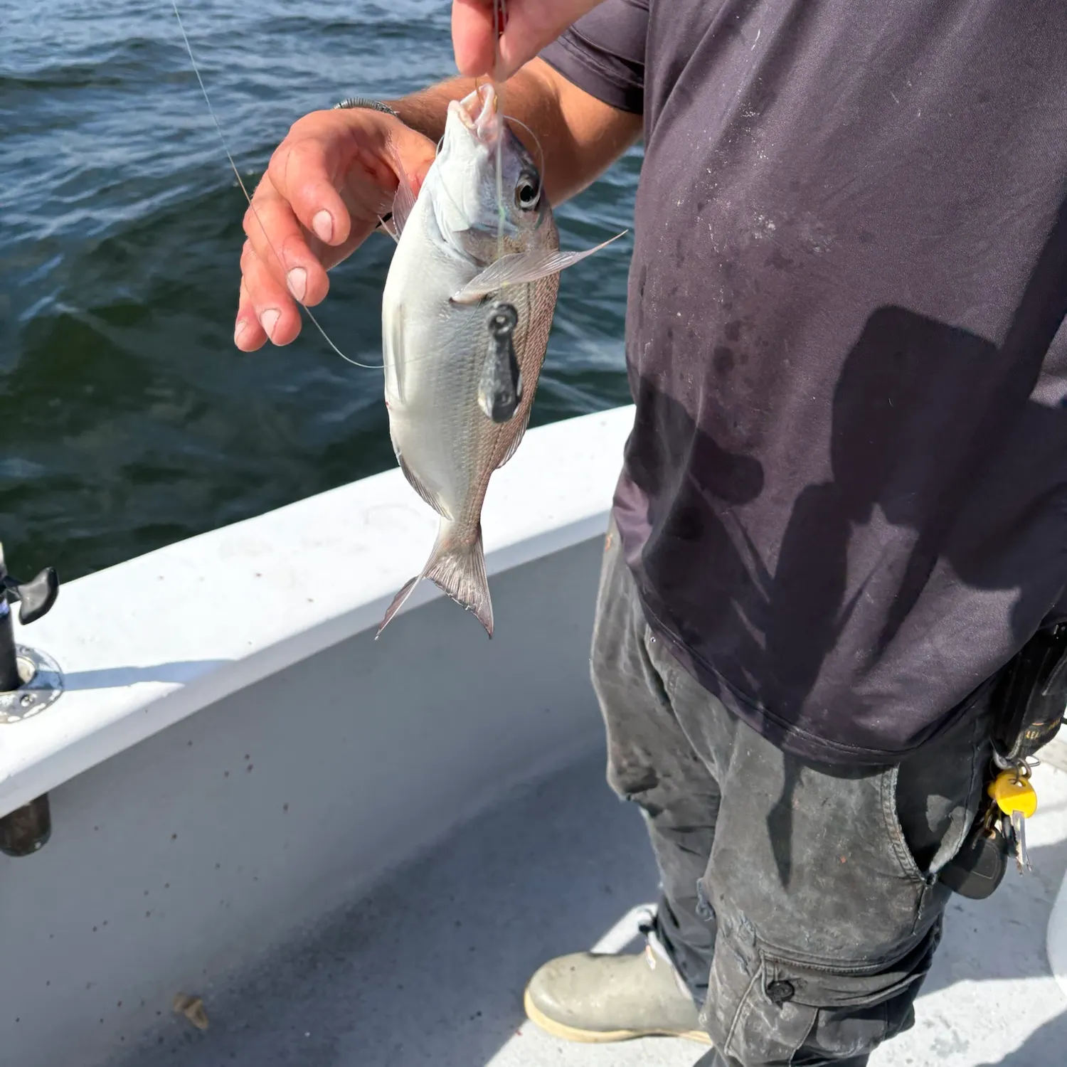 The most recent Silver porgy catches on Fishbrain