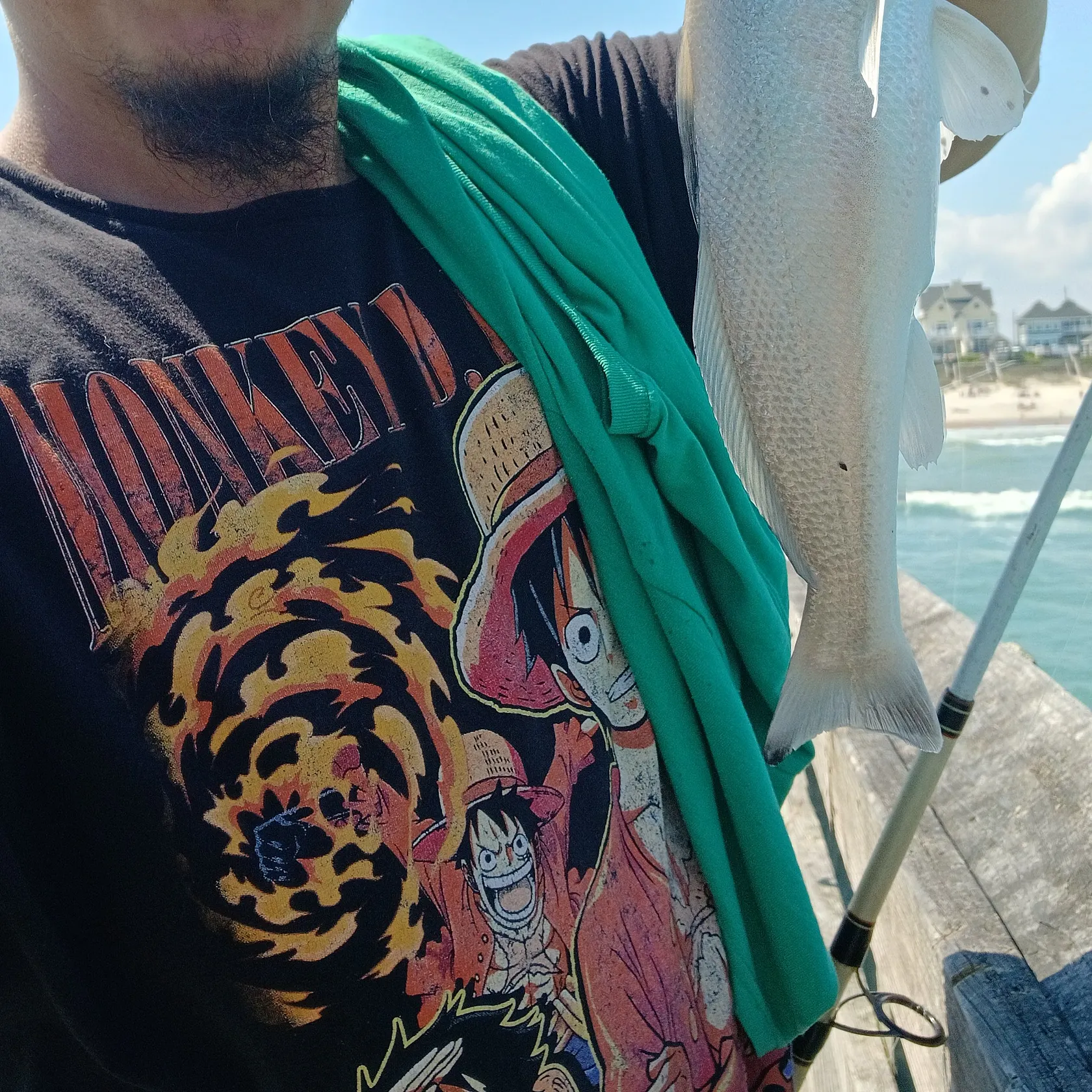 The most recent Southern kingcroaker catches on Fishbrain