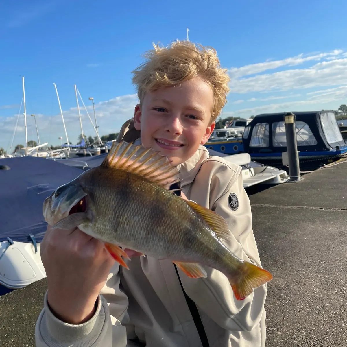European perch caught on Fishbrain