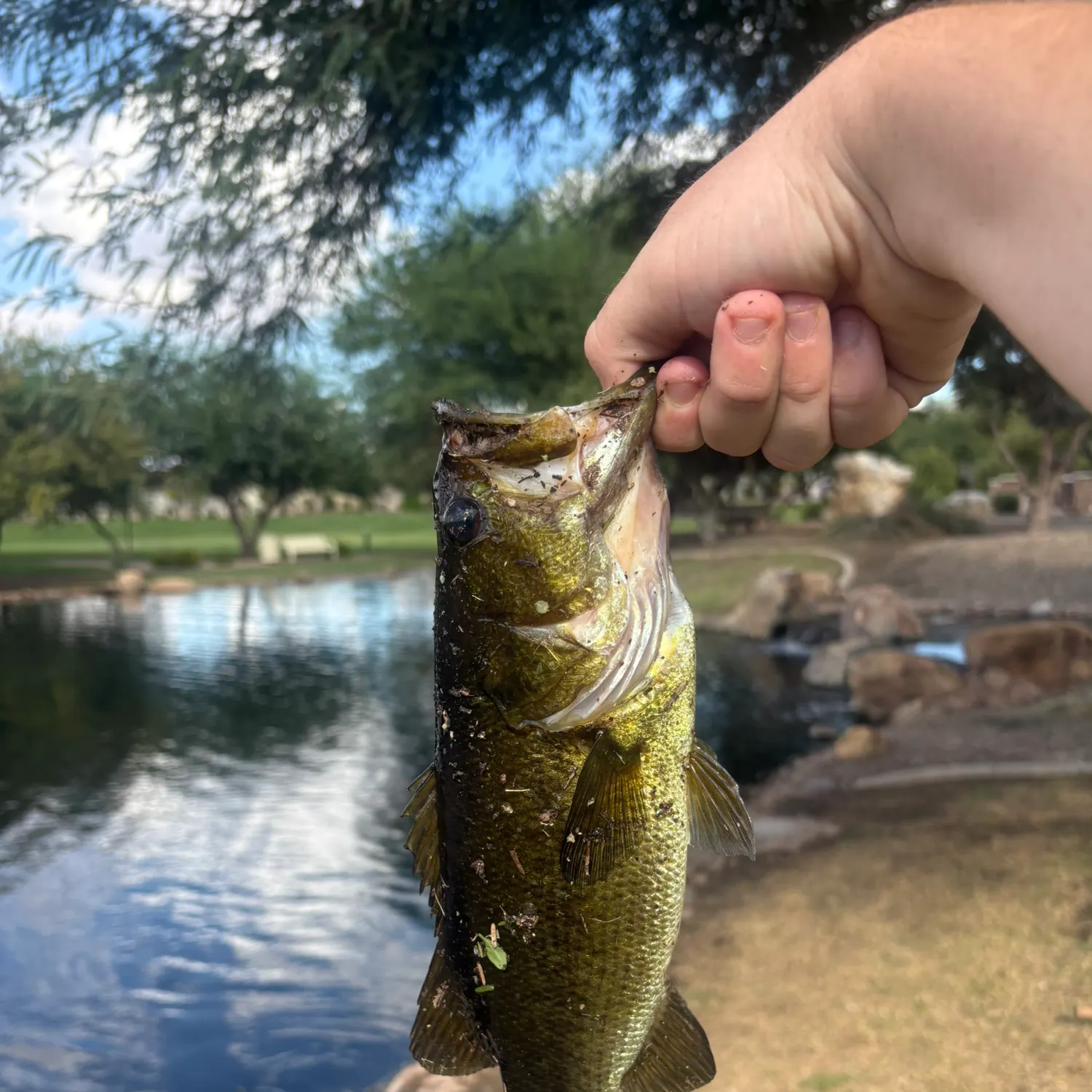 catch