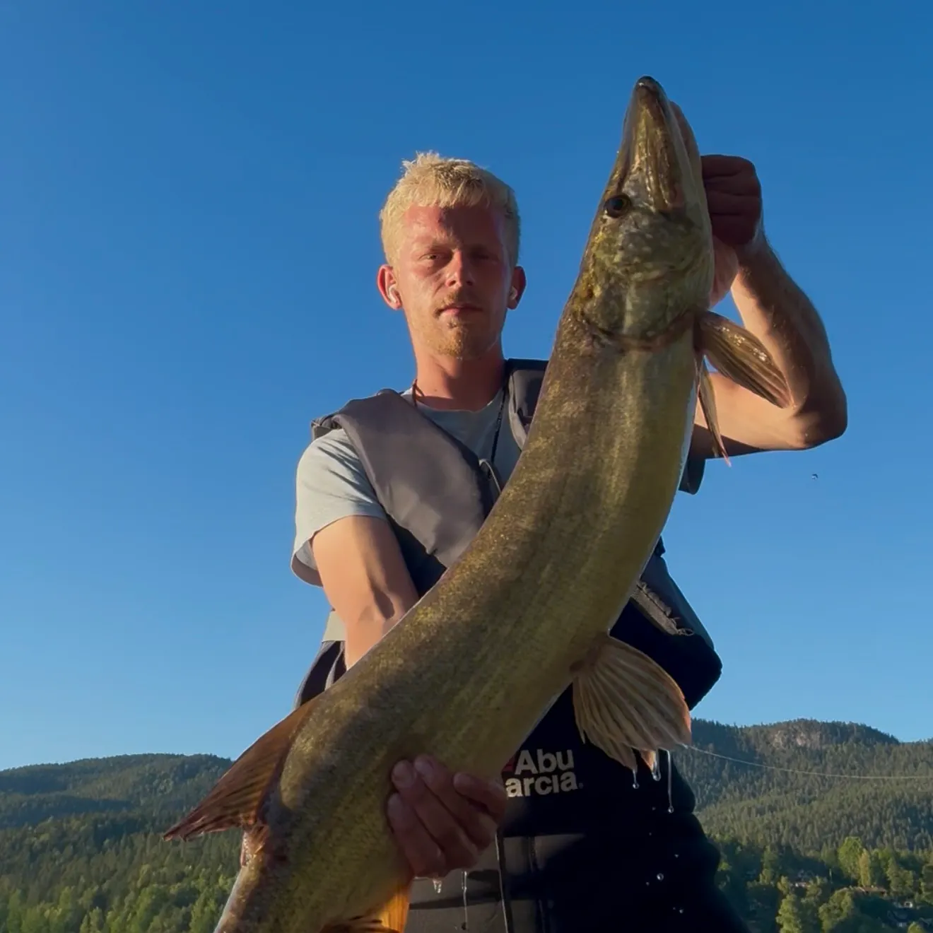 Northern pike caught on Fishbrain