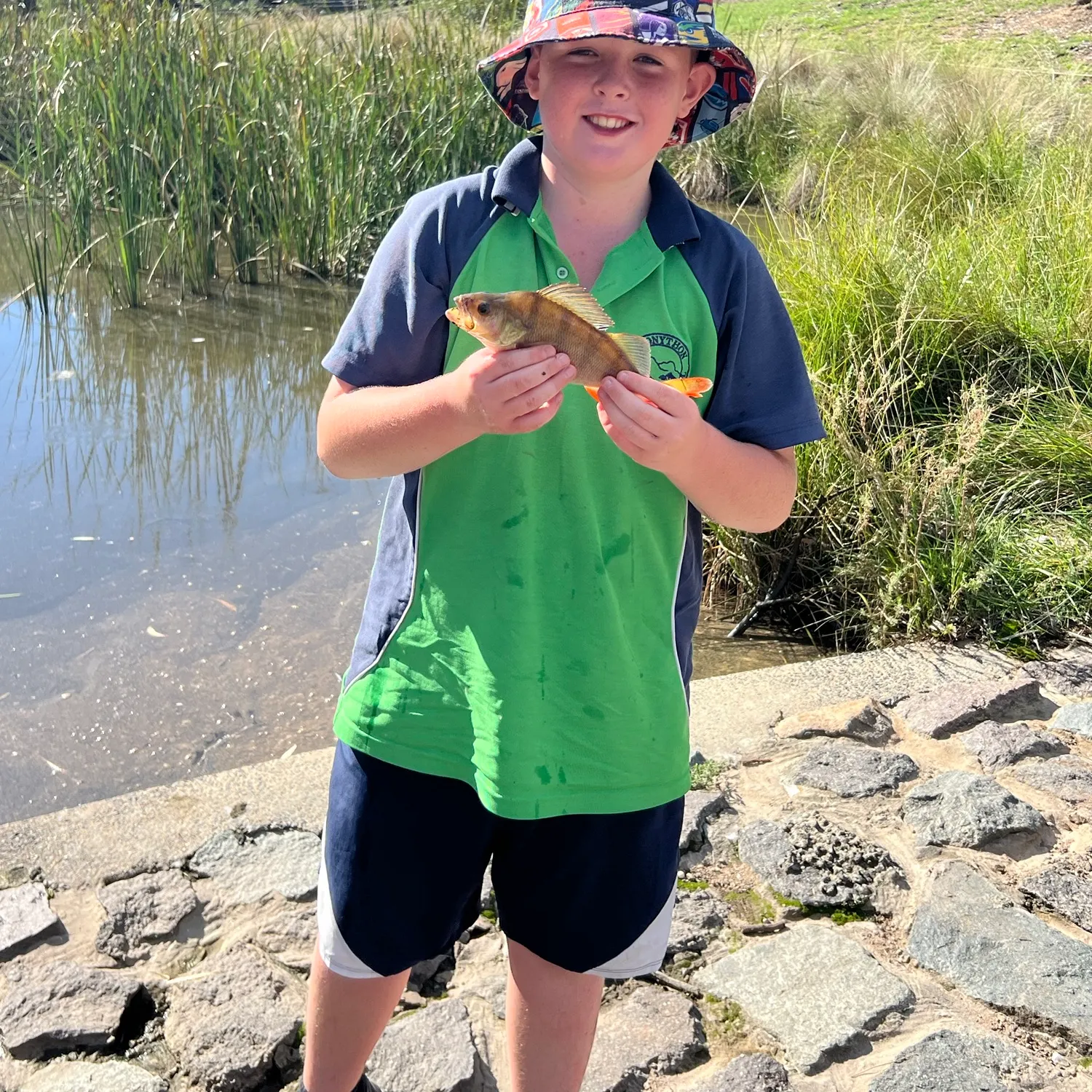 European perch caught on Fishbrain