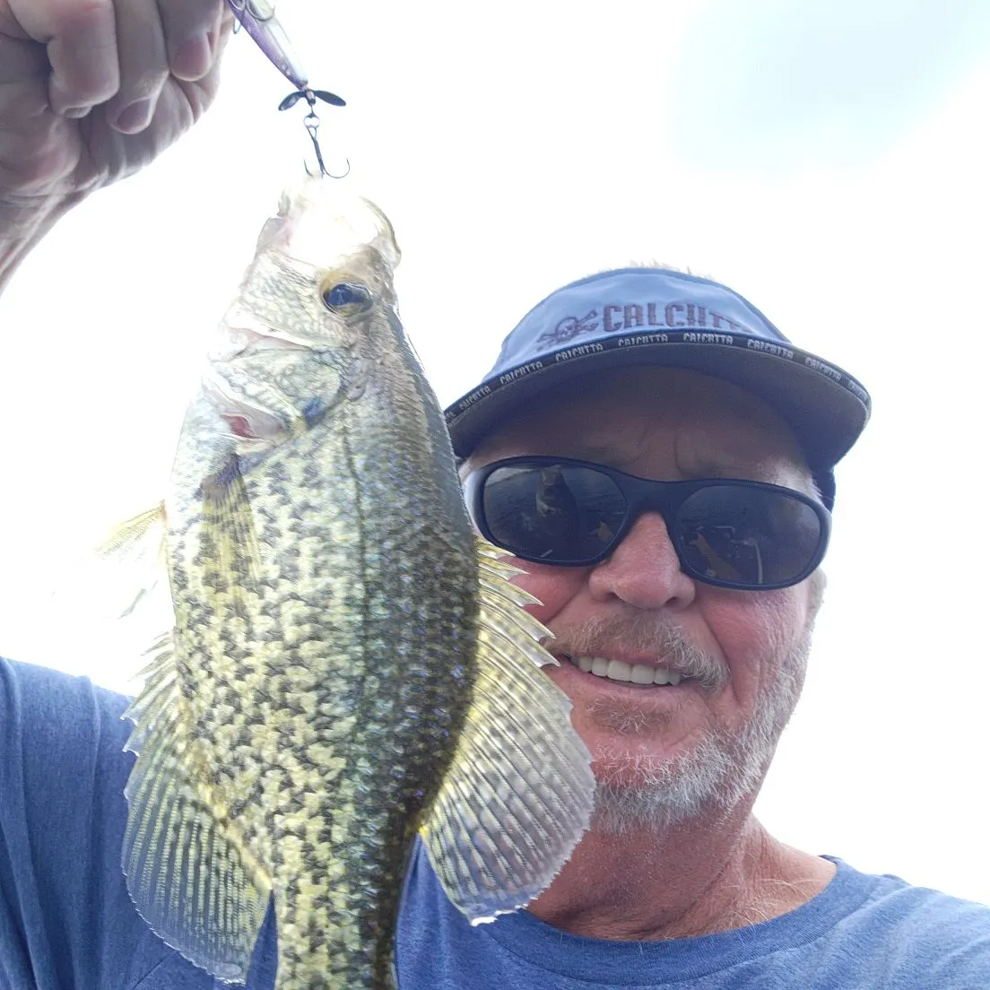Black crappie caught on Fishbrain