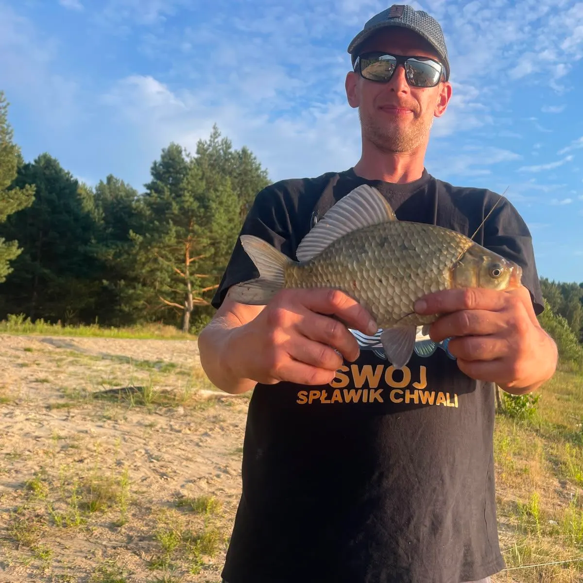 Crucian carp caught on Fishbrain