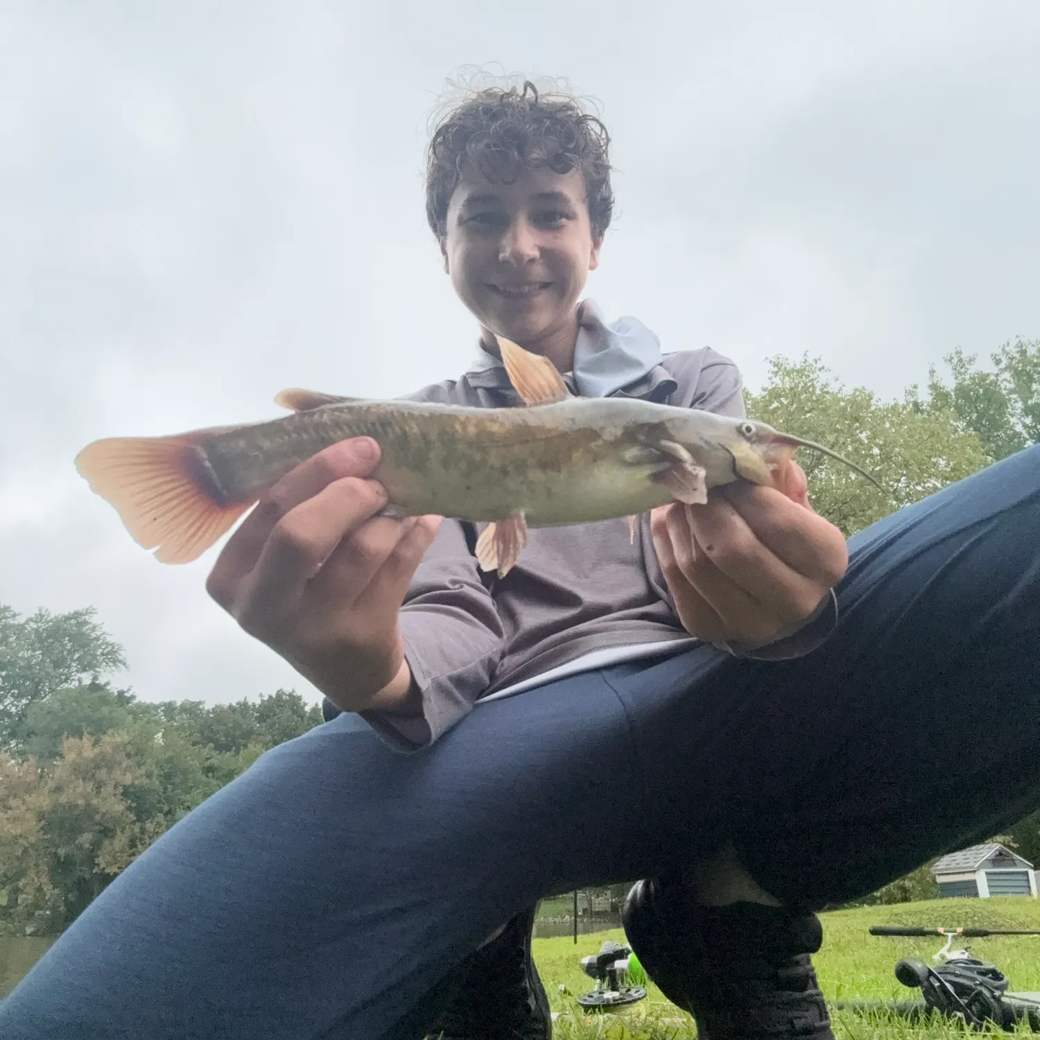 Brown bullhead caught on Fishbrain