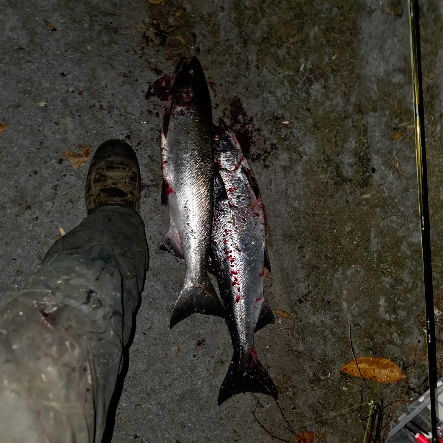 catch