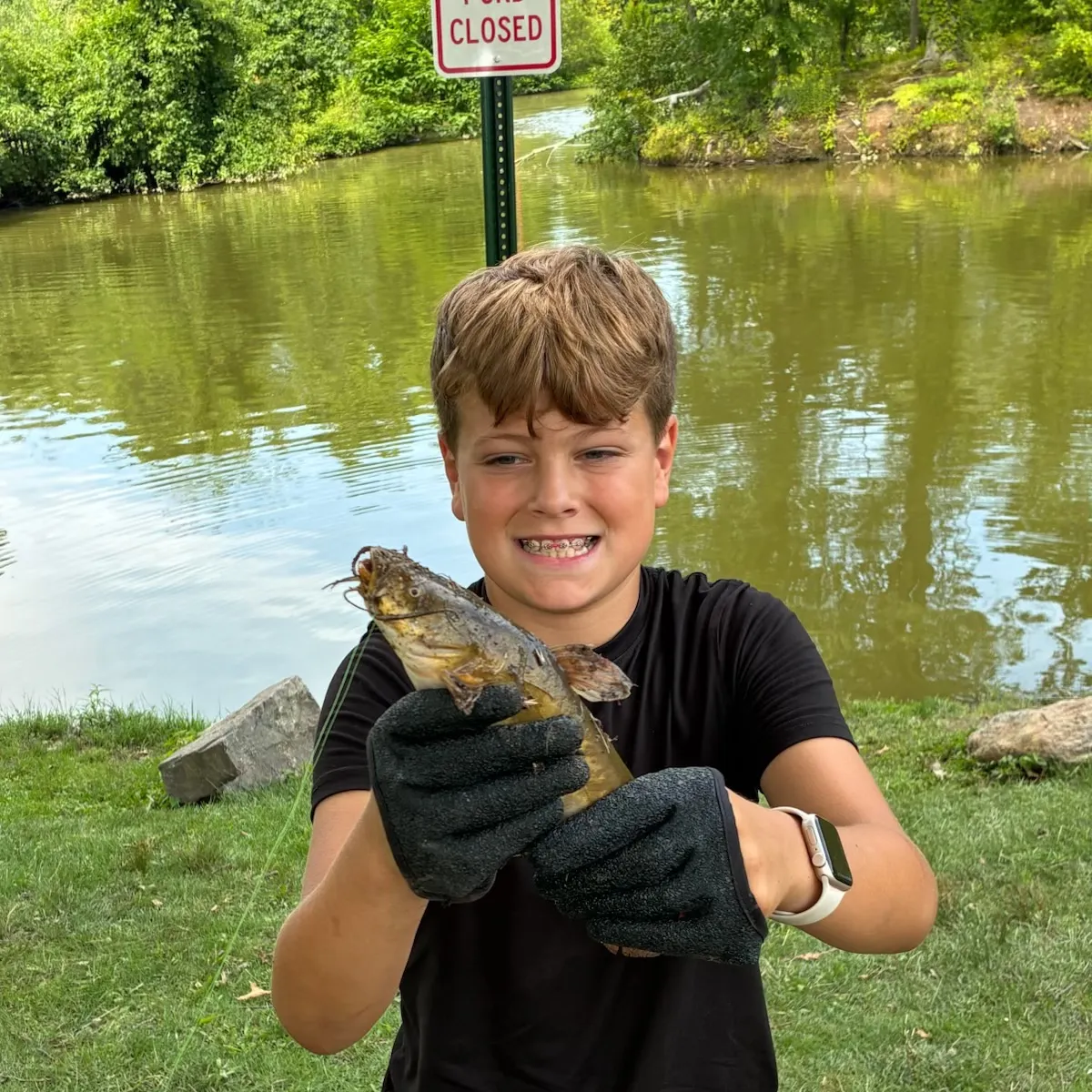 Flathead catfish caught on Fishbrain
