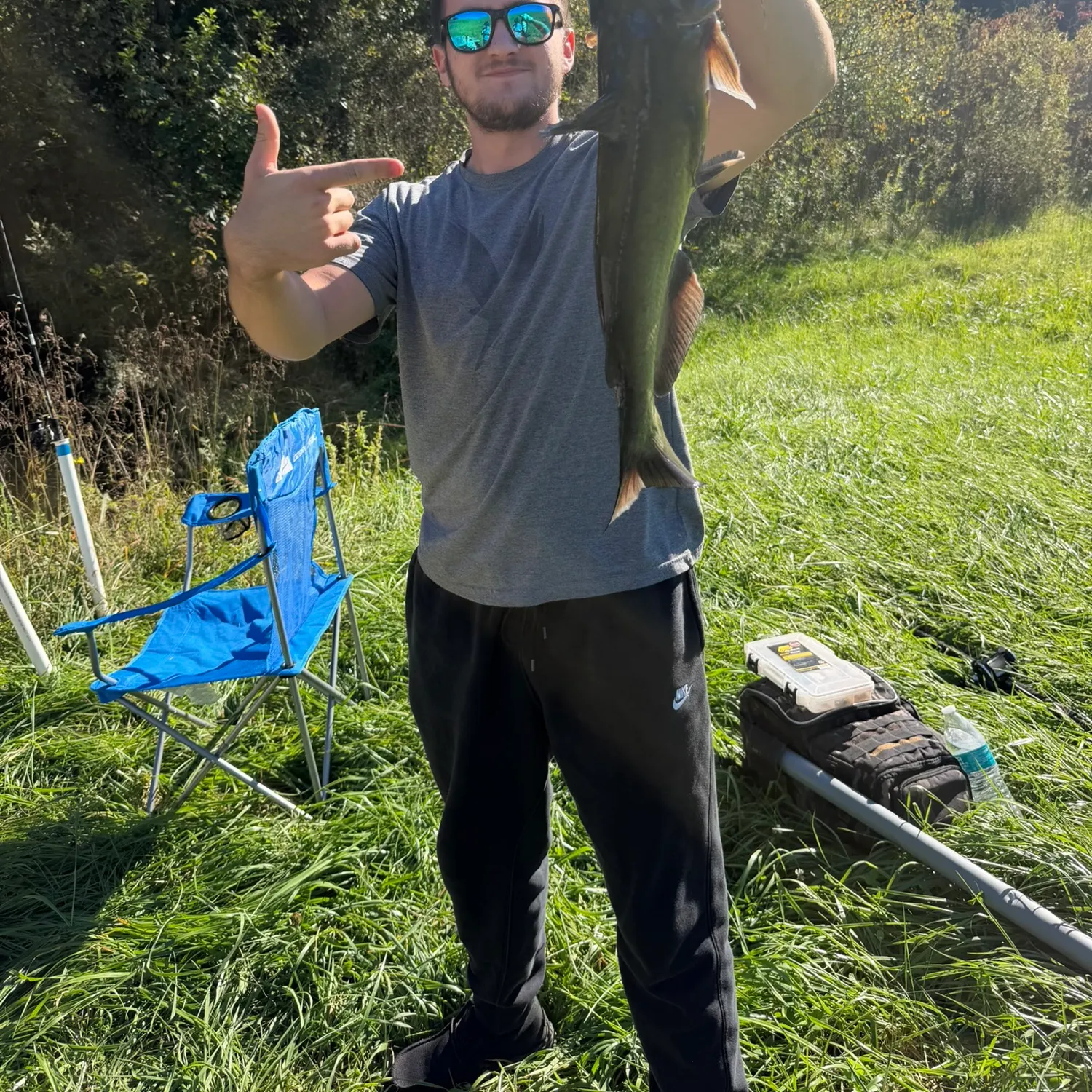Channel catfish caught on Fishbrain