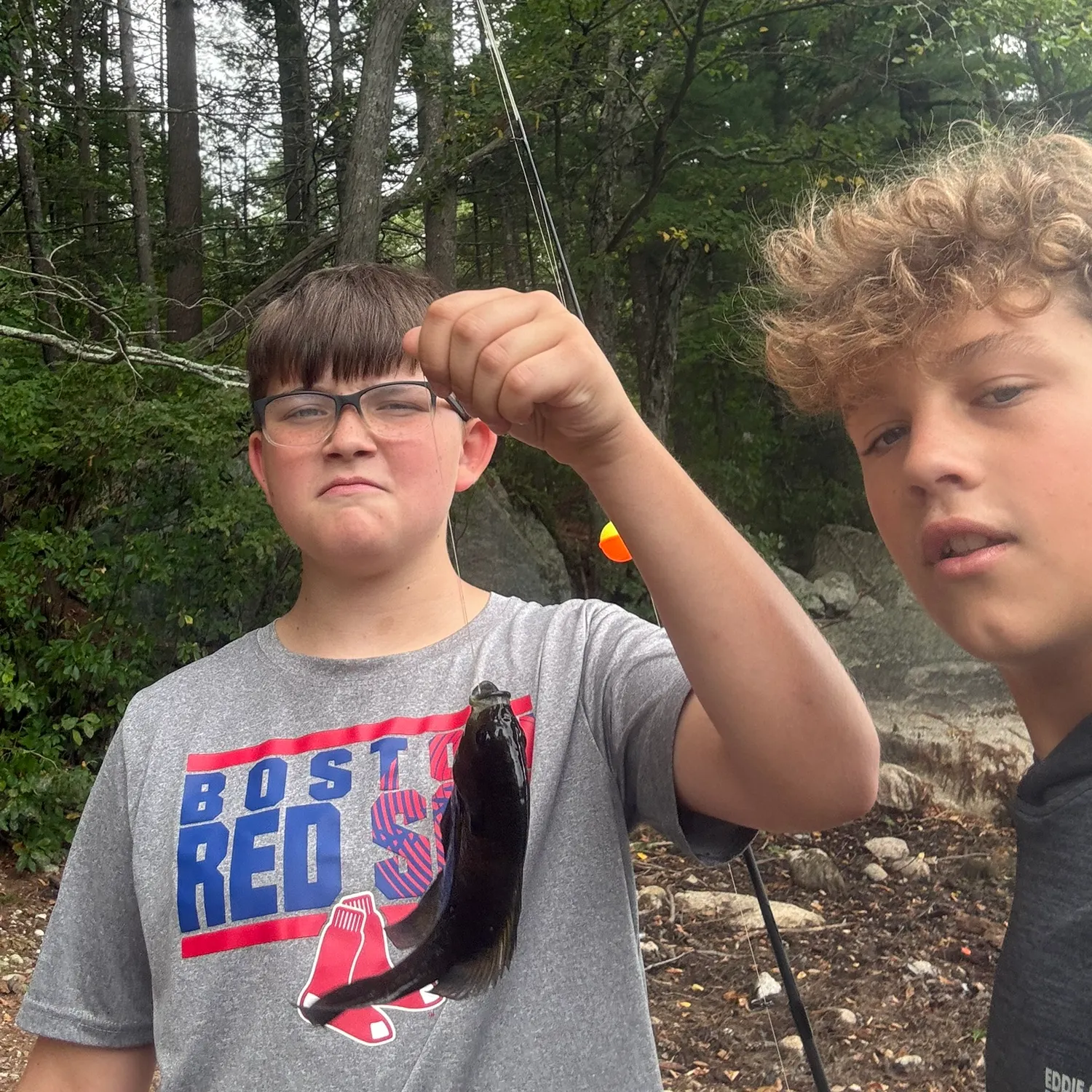 Fish caught on Fishbrain