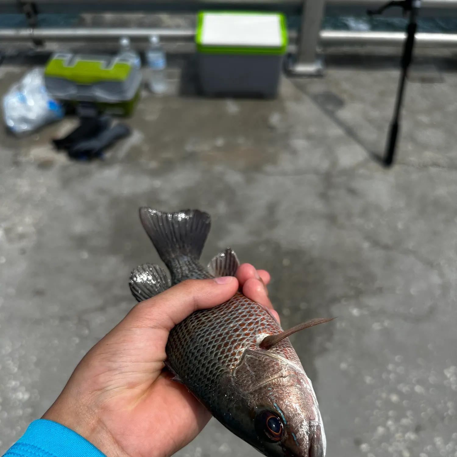 catch