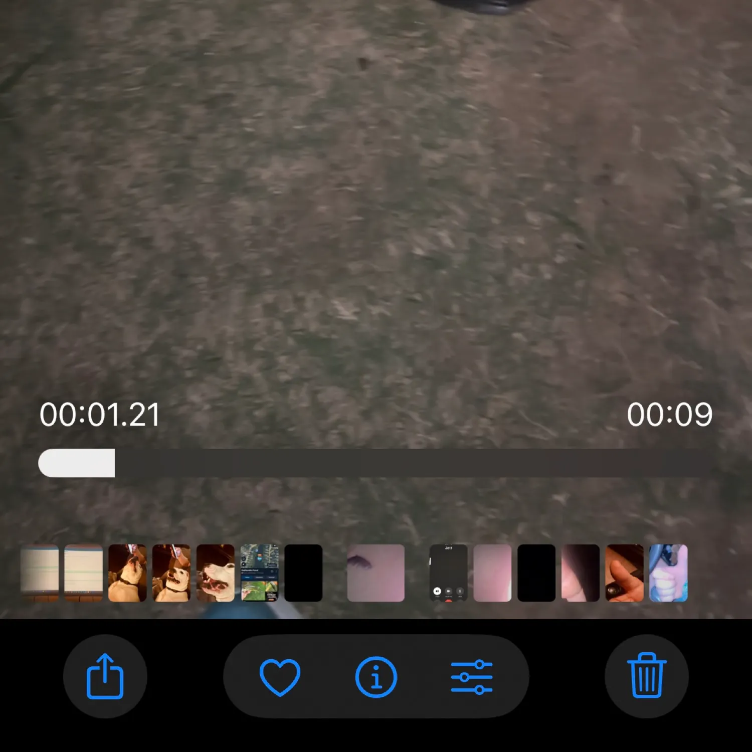 recently logged catches